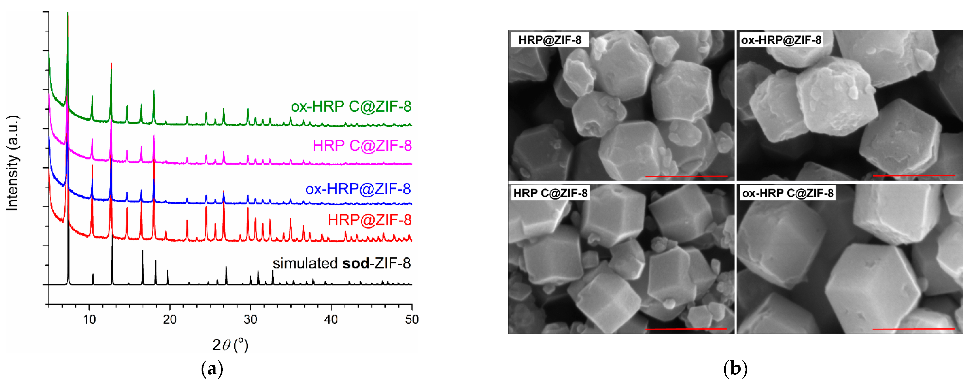 Polymers 14 04834 g003