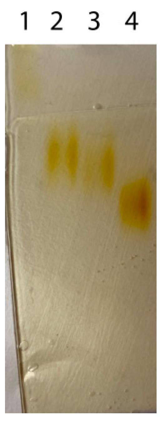 Polymers 14 04834 g0a1