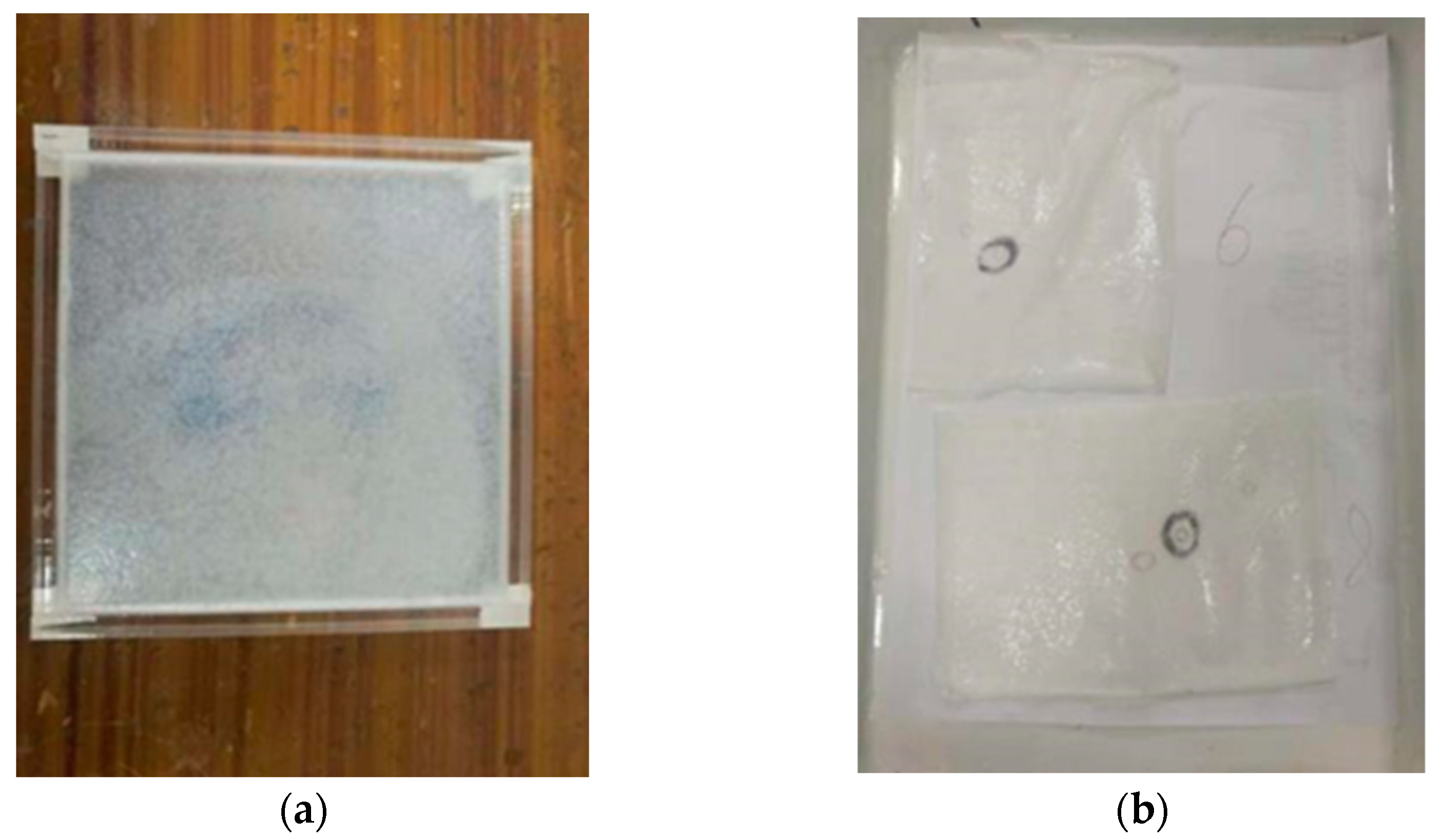Polymers 14 04837 g002 Polymers 14 04837 g002