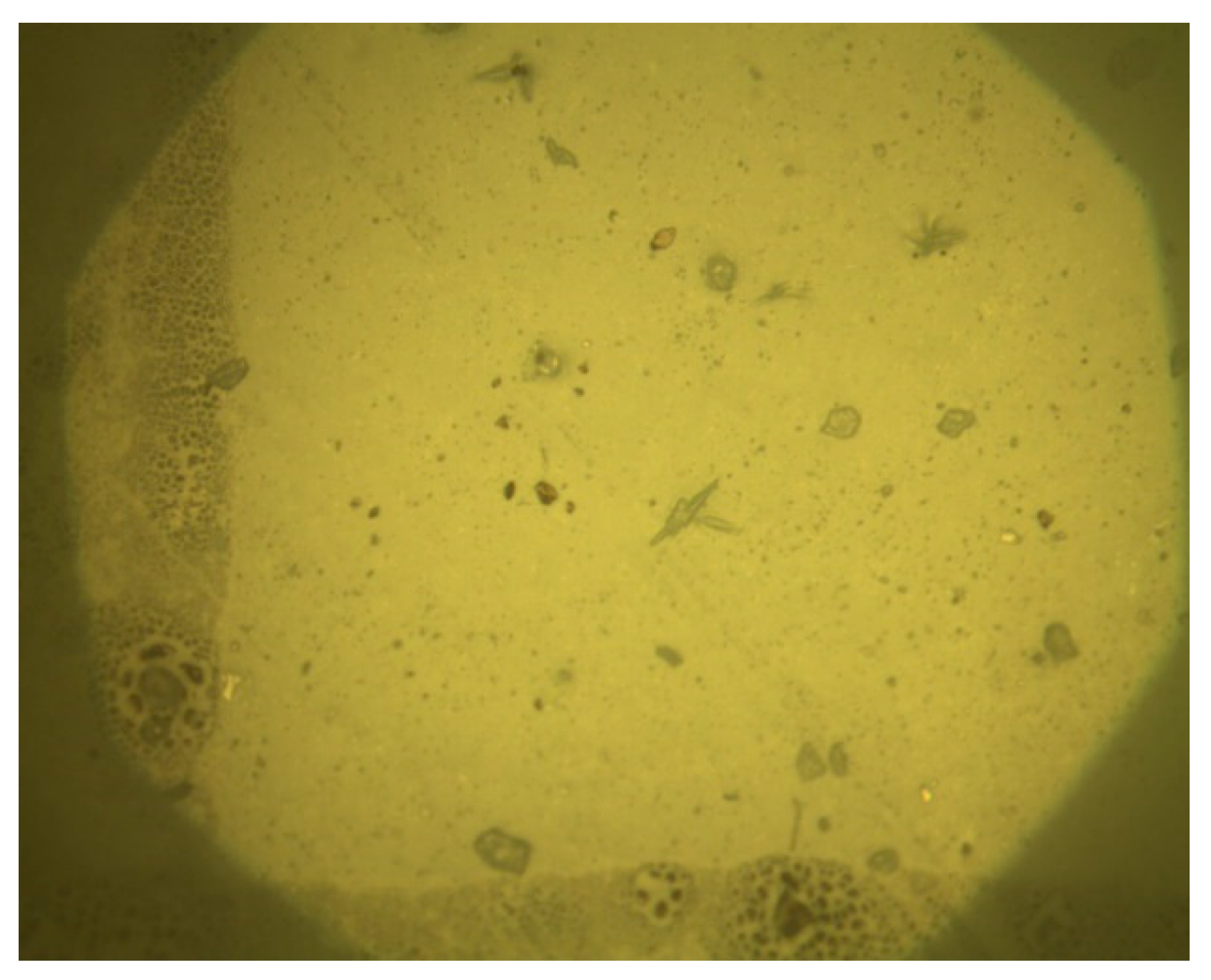 Polymers 14 04837 g004 Polymers 14 04837 g004