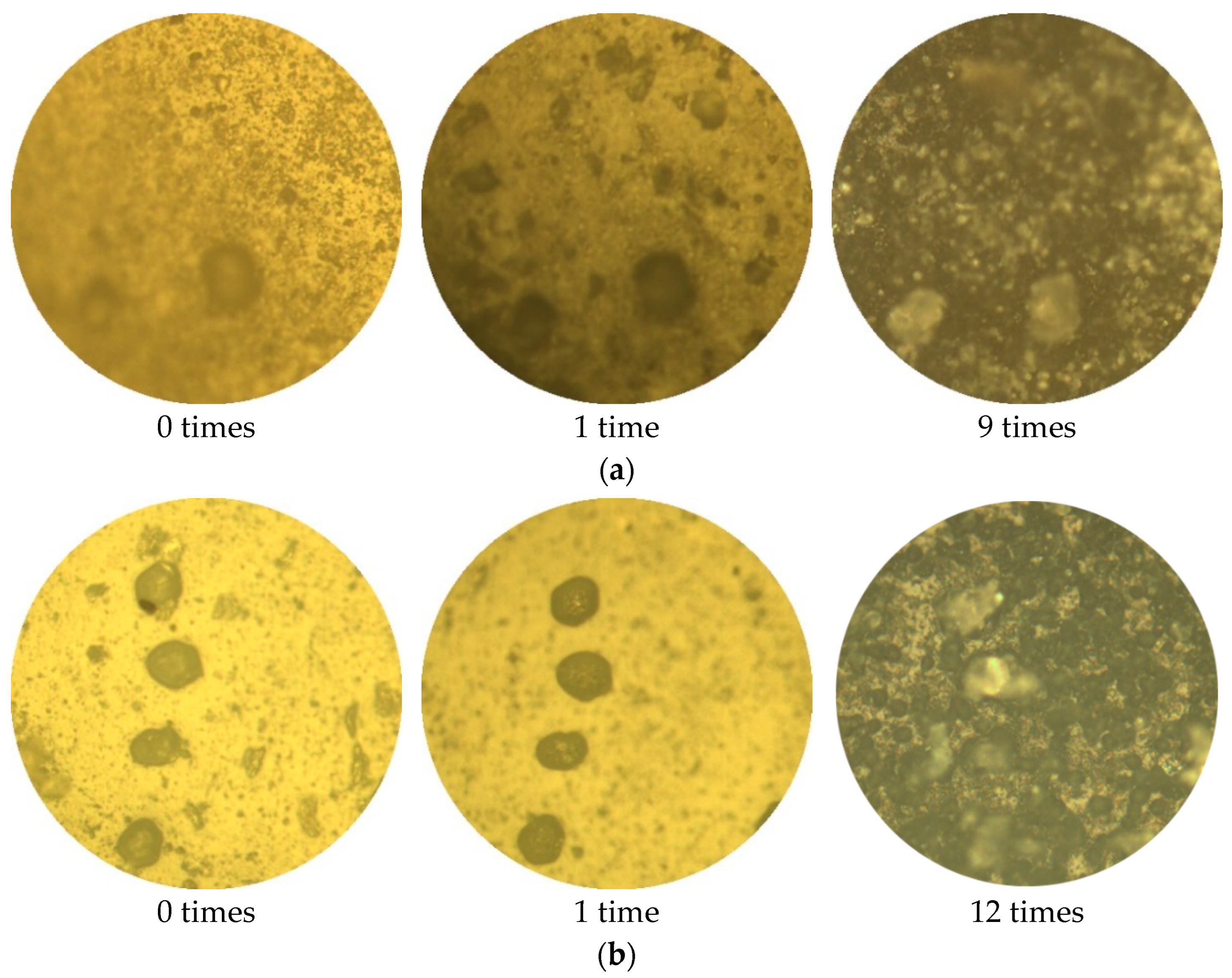 Polymers 14 04837 g006a Polymers 14 04837 g006a