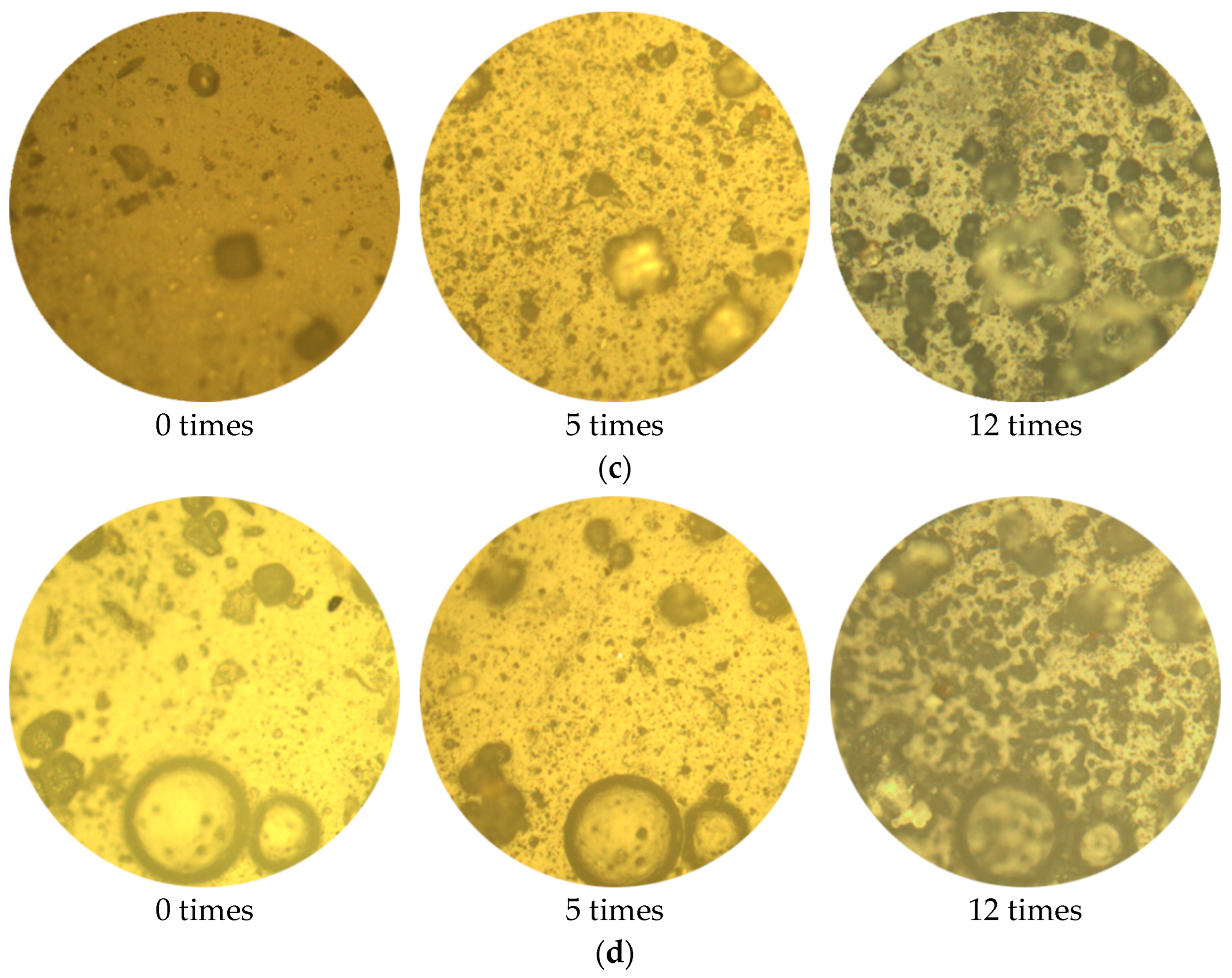 Polymers 14 04837 g006b Polymers 14 04837 g006b