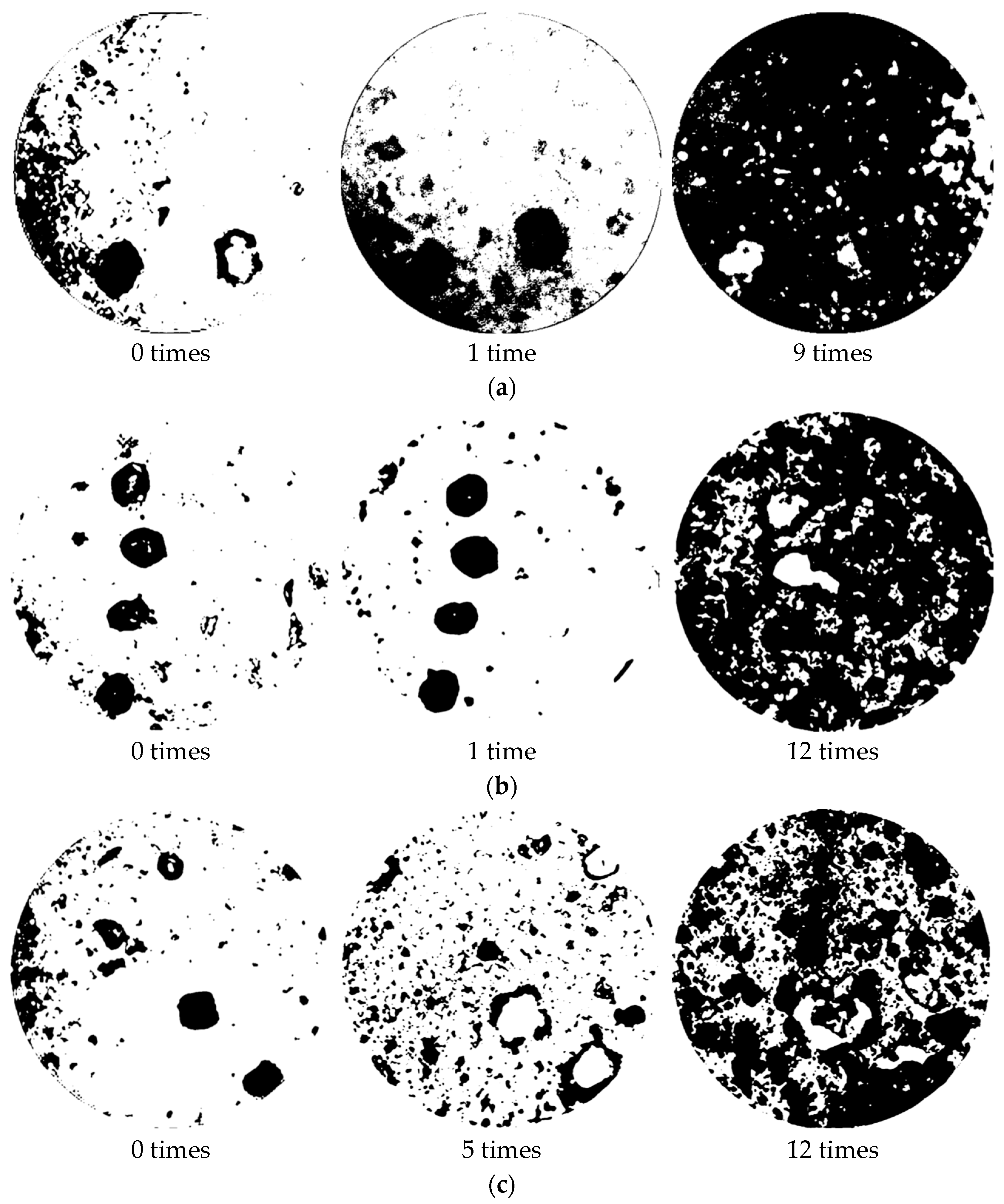 Polymers 14 04837 g007a Polymers 14 04837 g007a