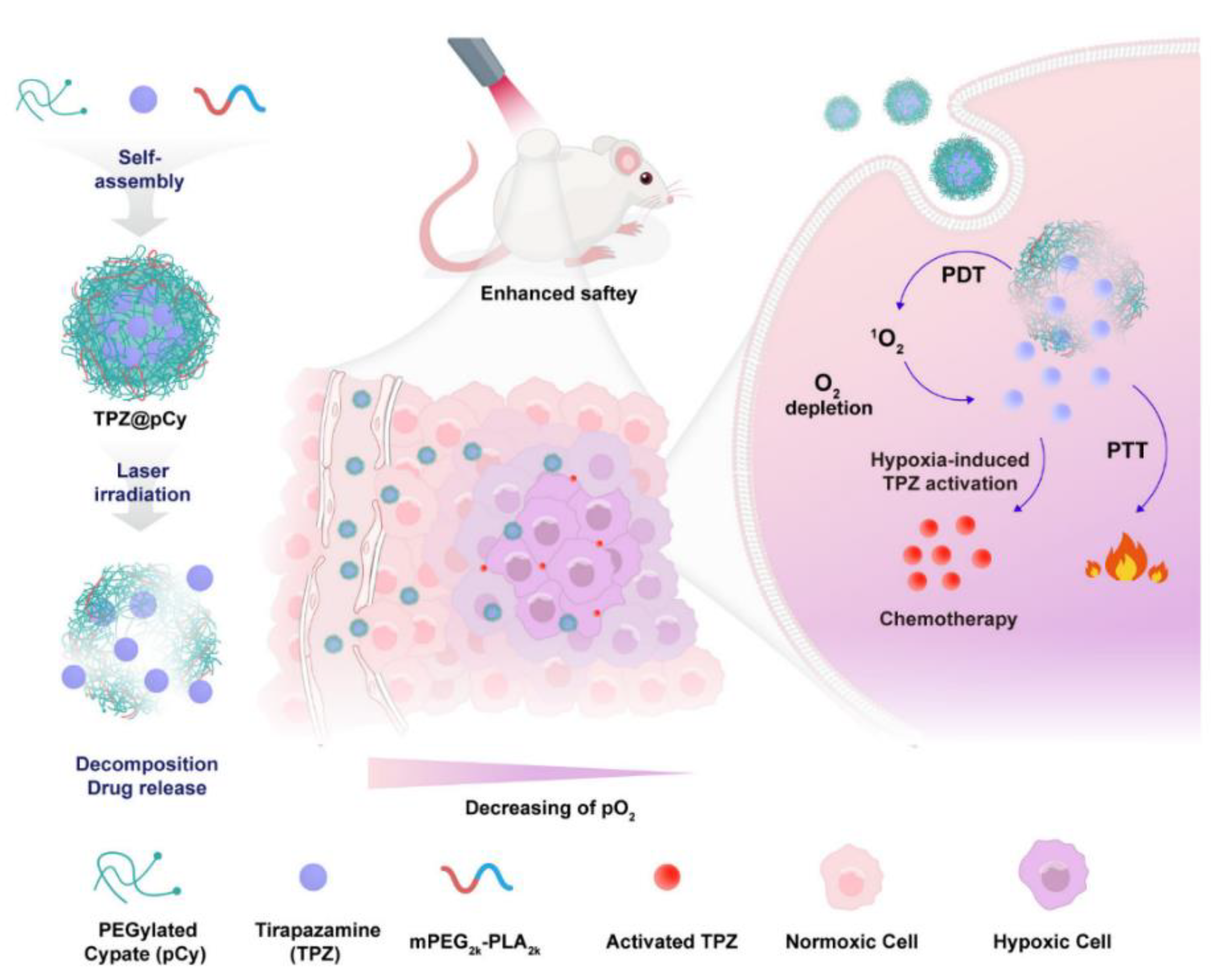 Polymers 14 04839 g003