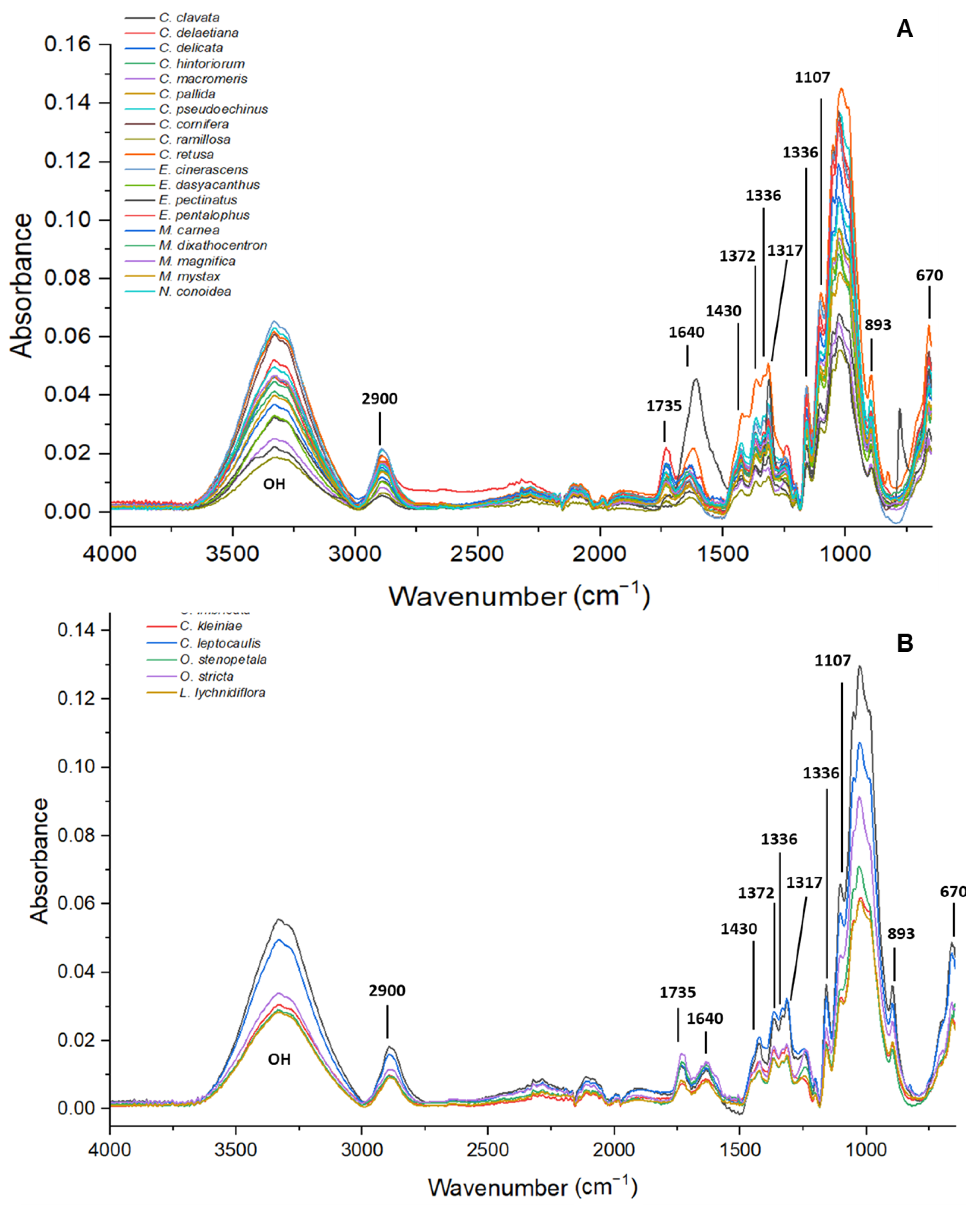 Polymers 14 04840 g001