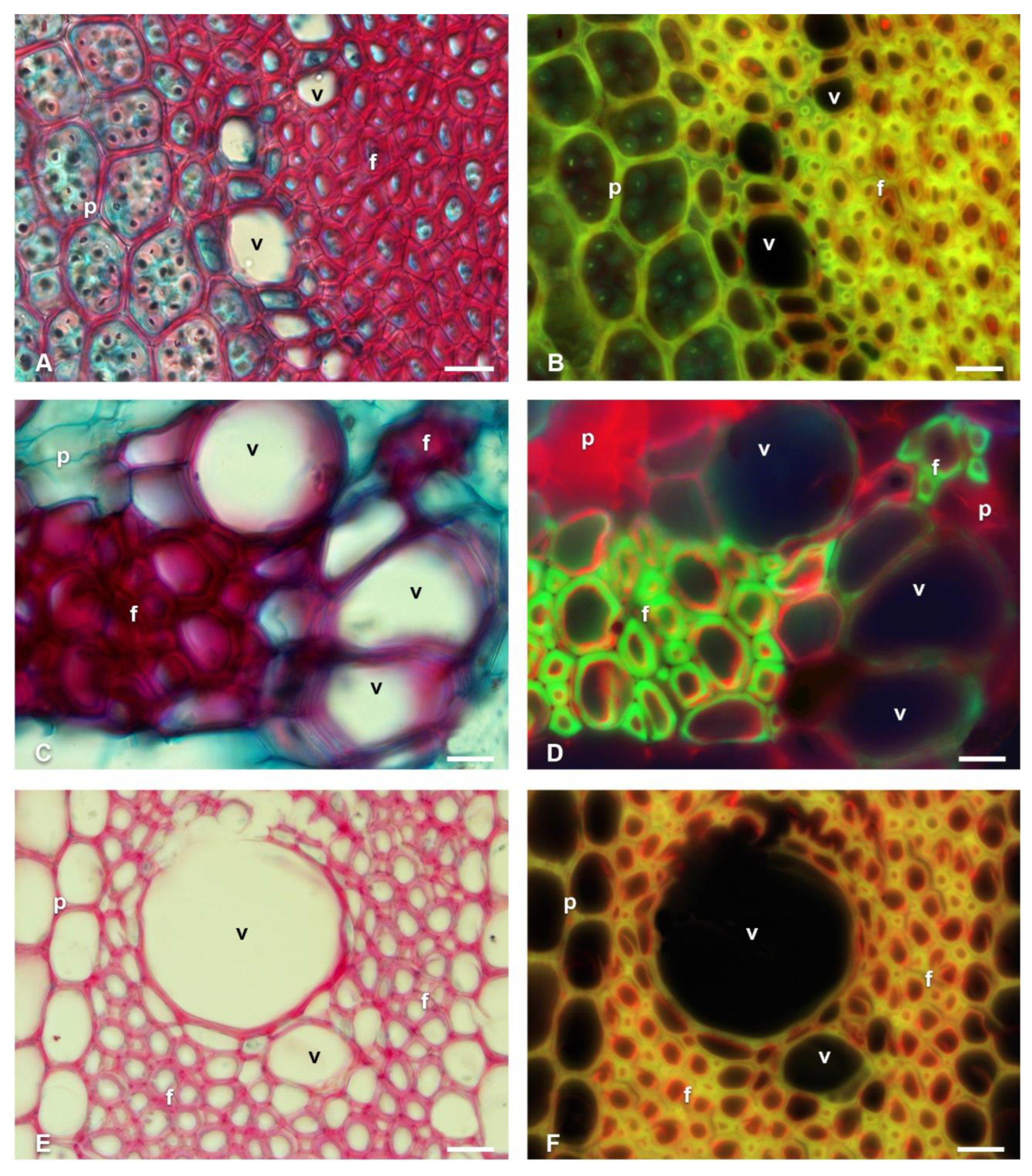 Polymers 14 04840 g003