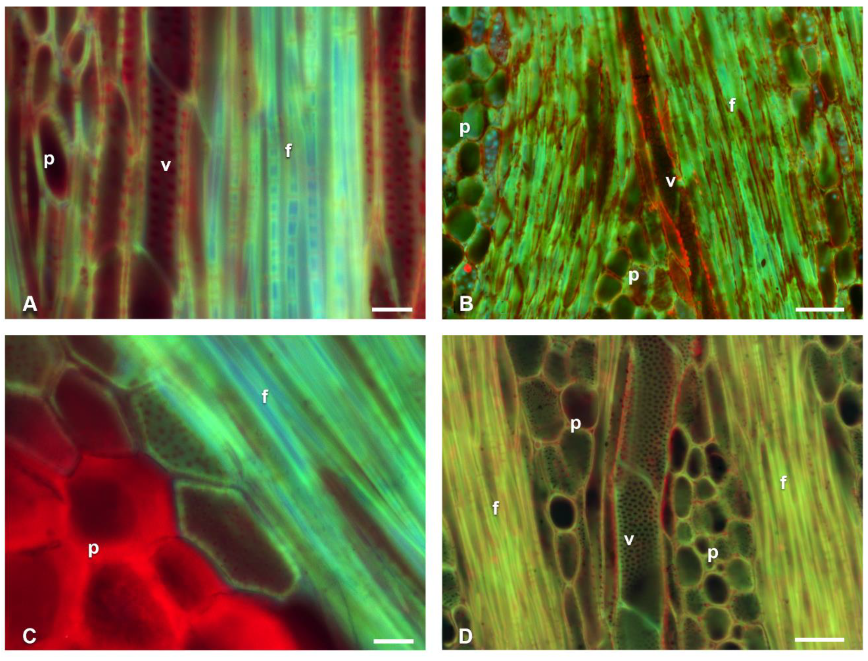 Polymers 14 04840 g004