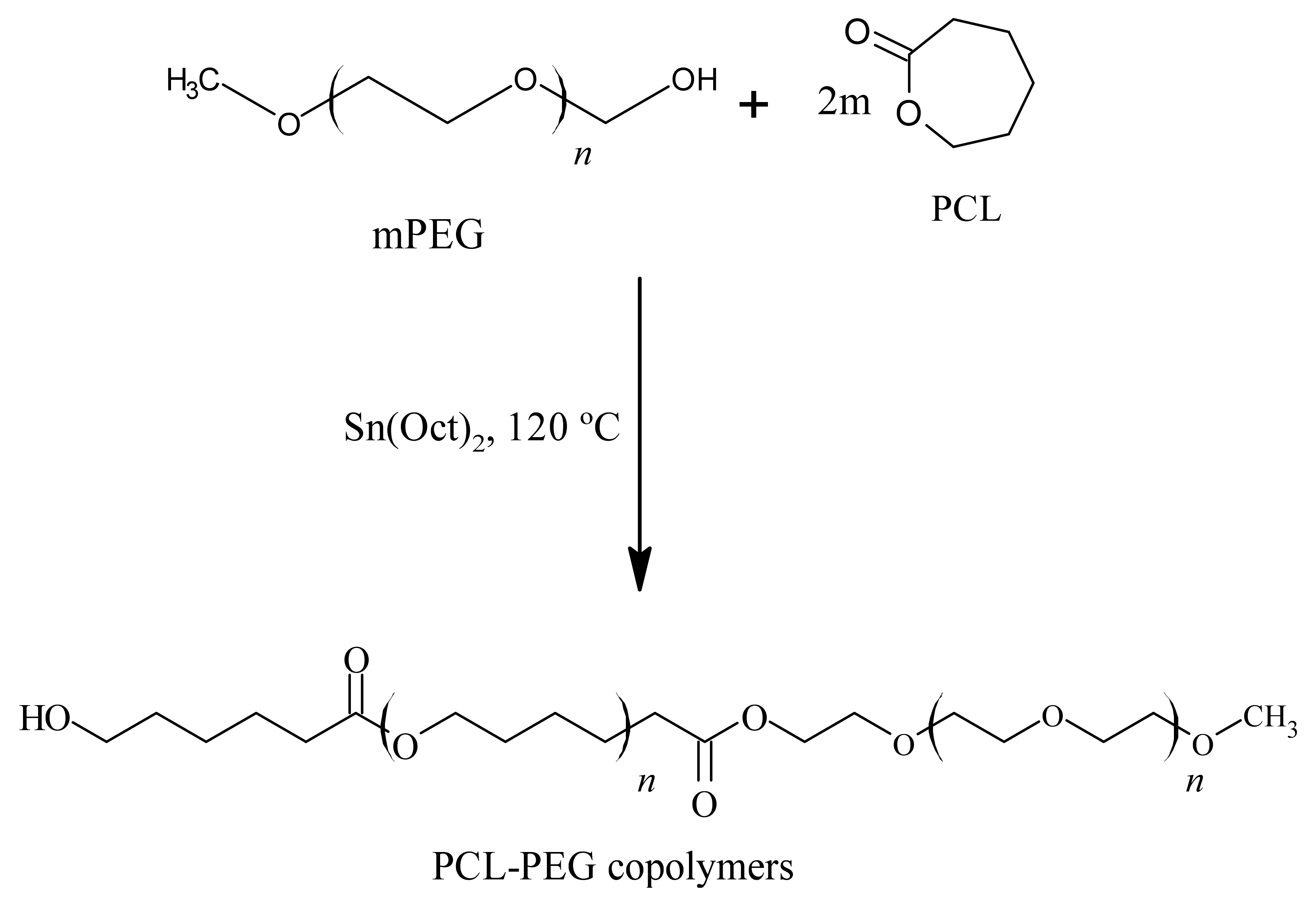 Polymers 14 04847 g002