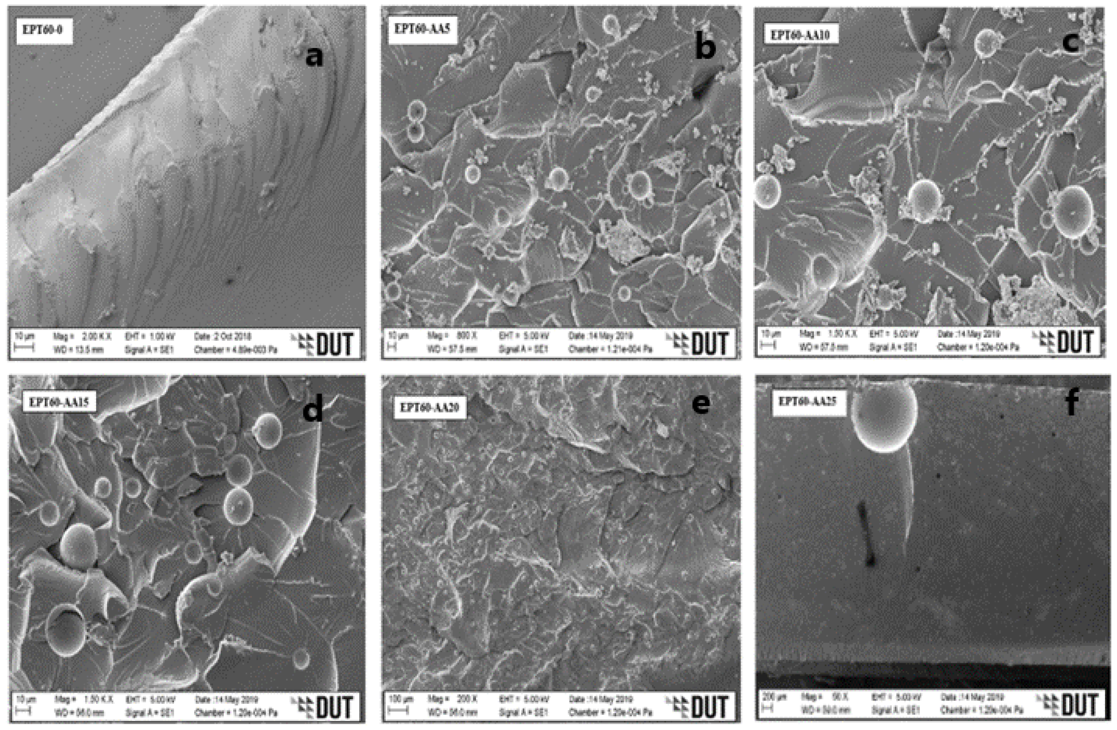 Polymers 14 04848 g004 Polymers 14 04848 g004