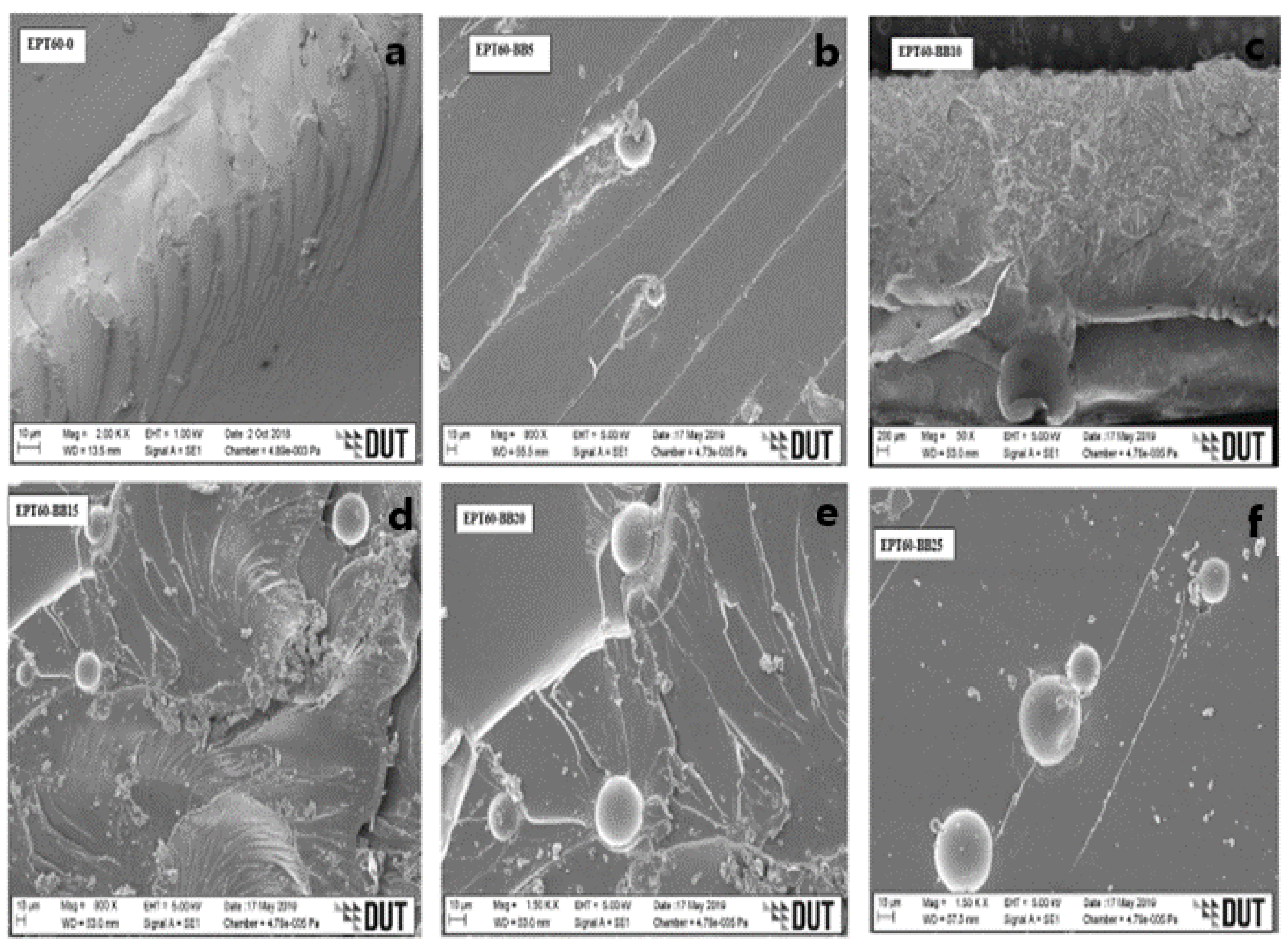 Polymers 14 04848 g005 Polymers 14 04848 g005
