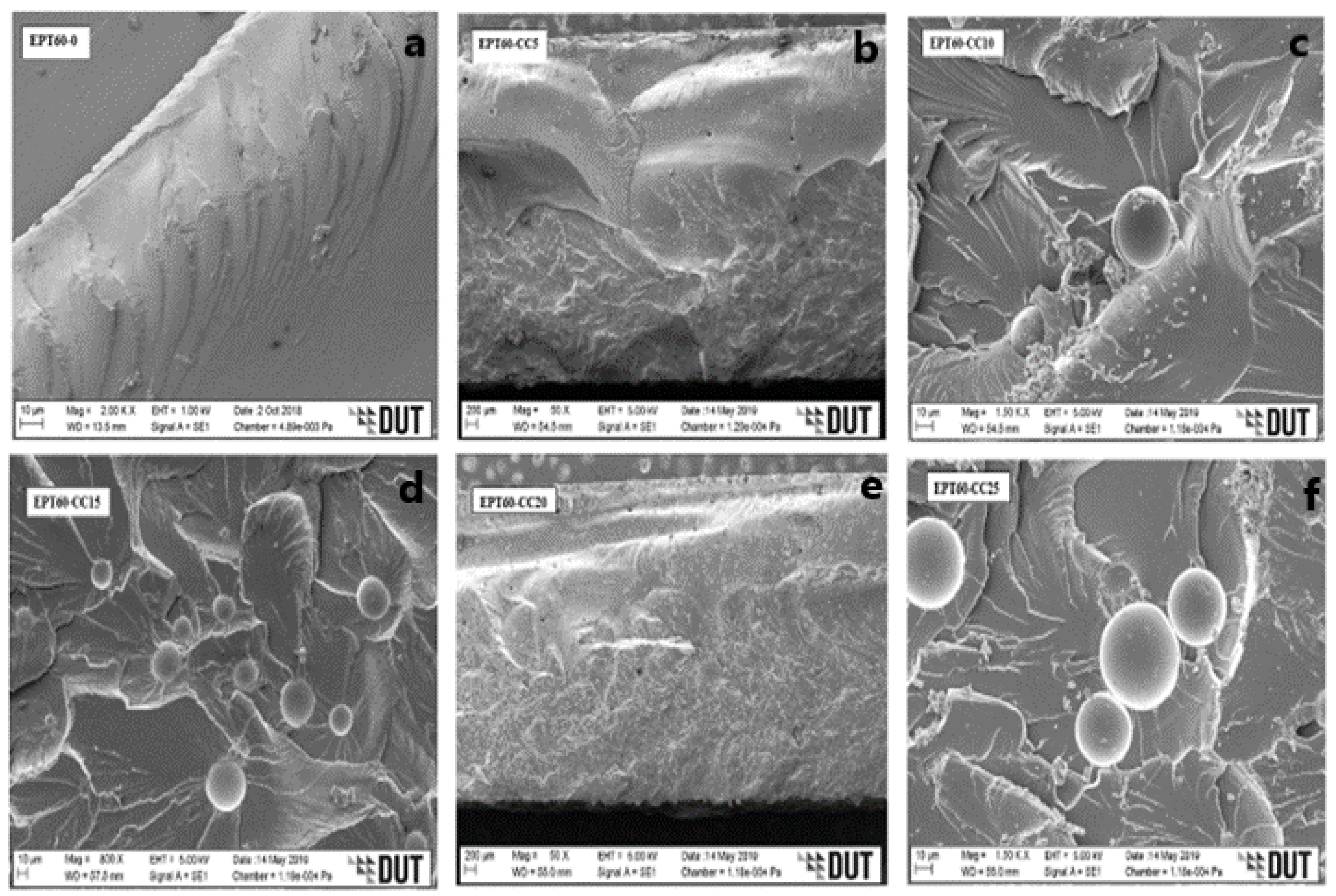 Polymers 14 04848 g006 Polymers 14 04848 g006