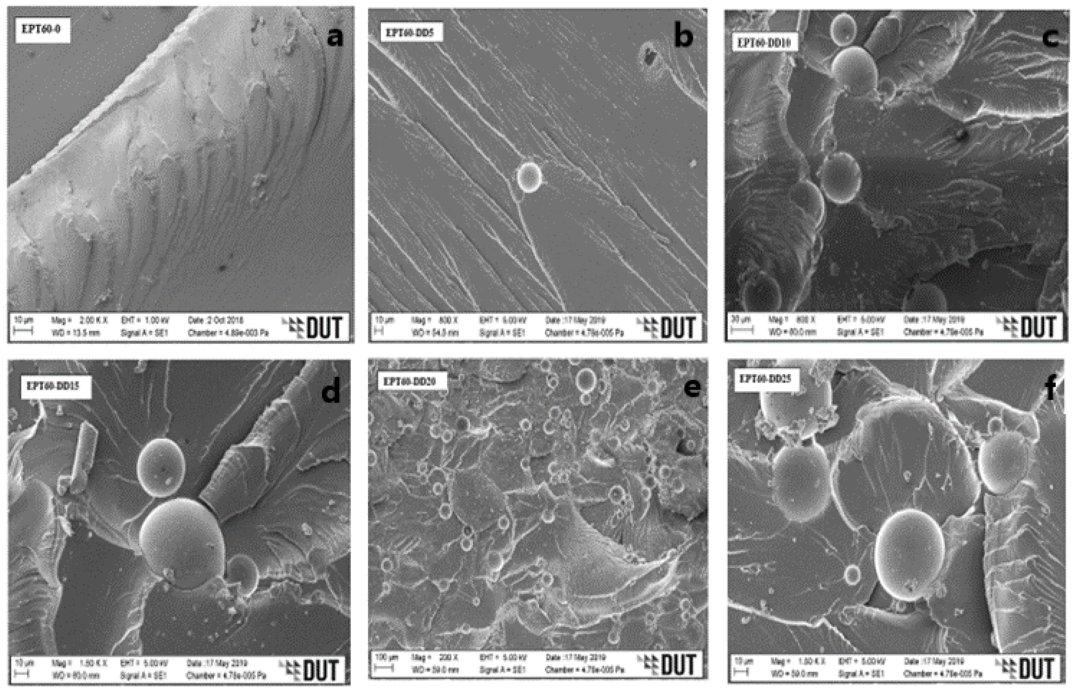 Polymers 14 04848 g007 Polymers 14 04848 g007