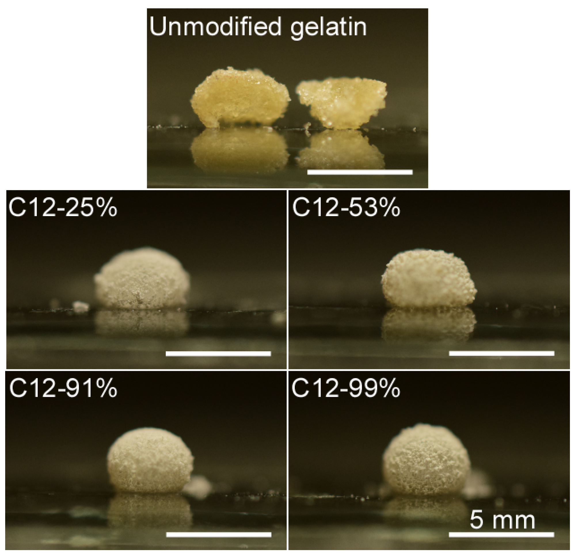 Polymers 14 04849 g002