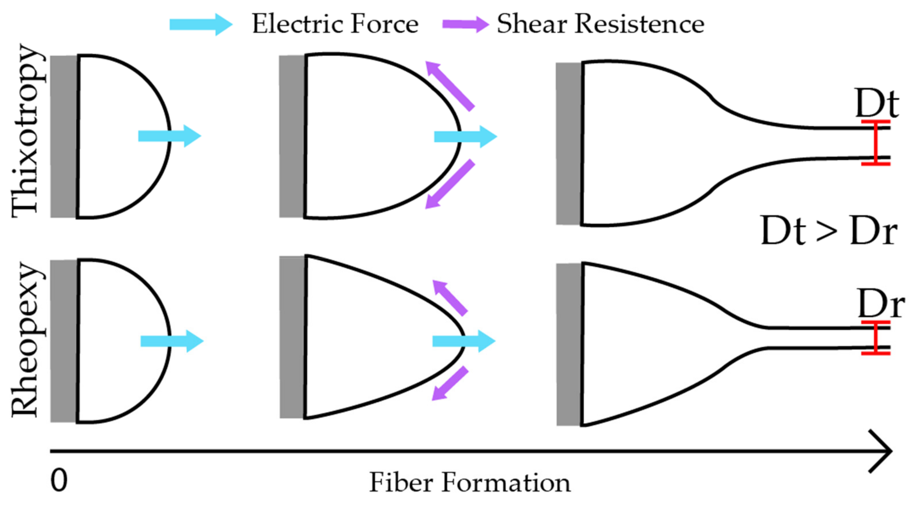 Polymers 14 04856 g005