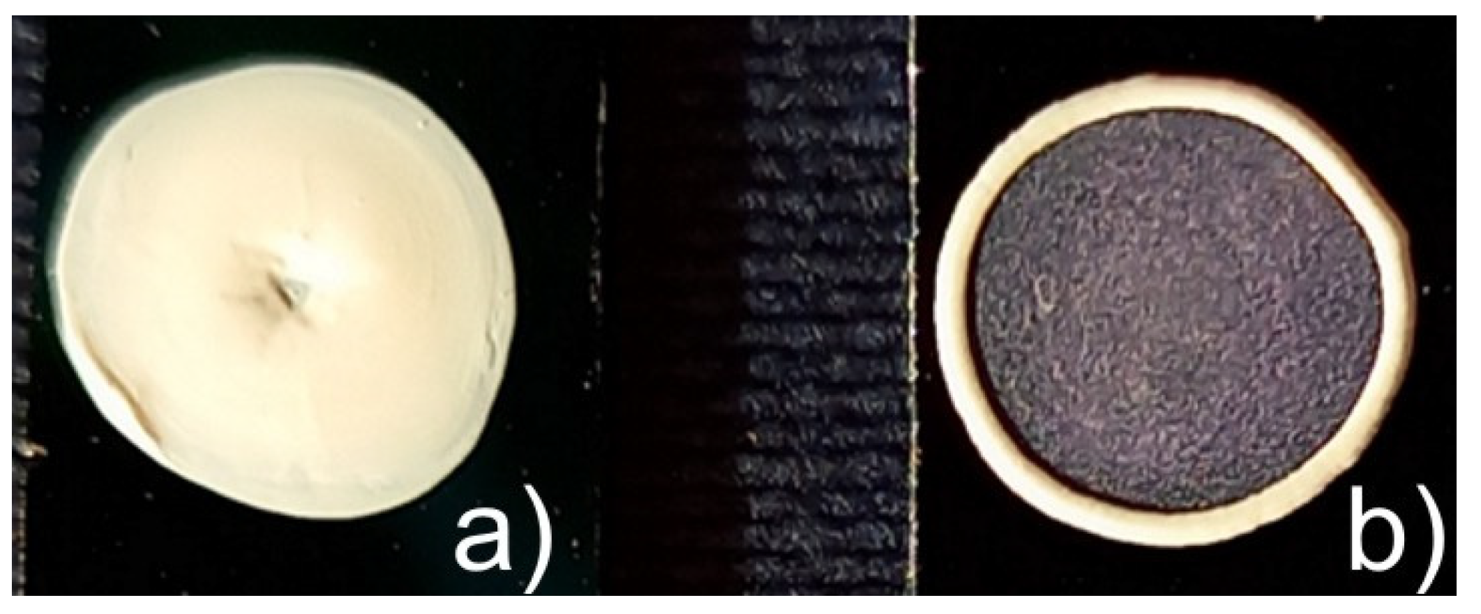 Polymers 14 04859 g001