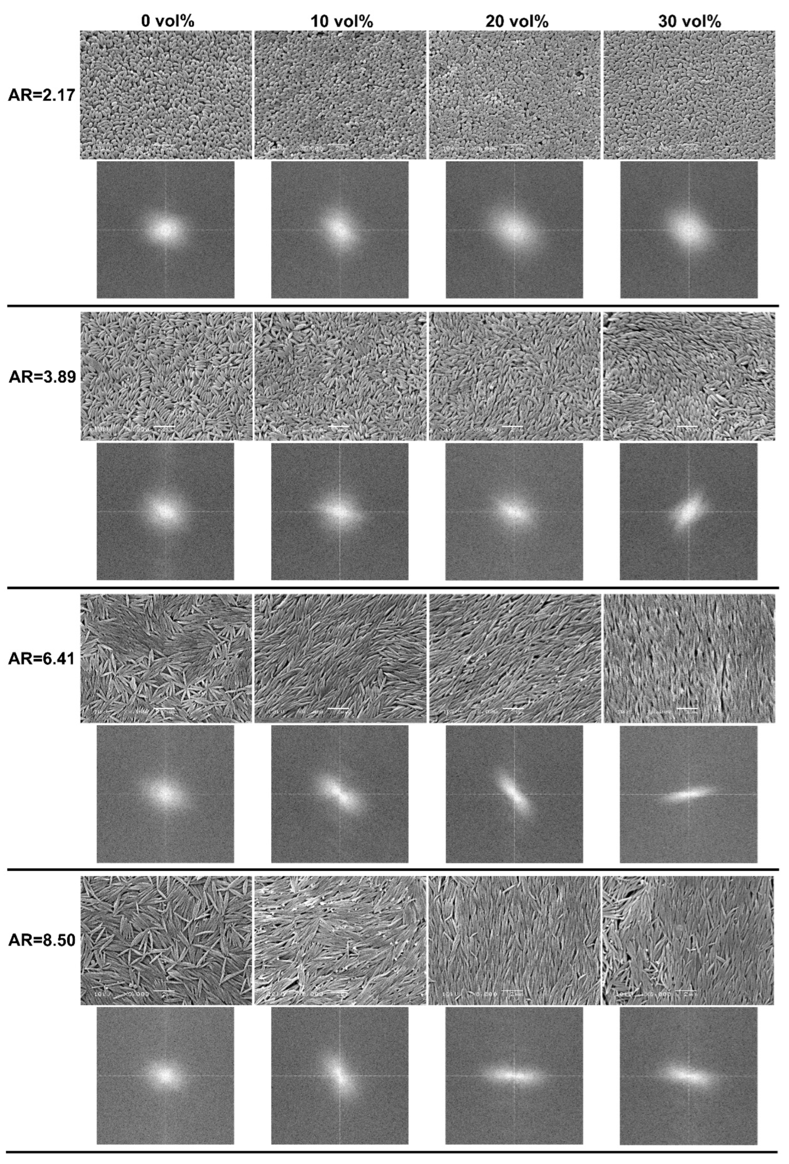 Polymers 14 04859 g003