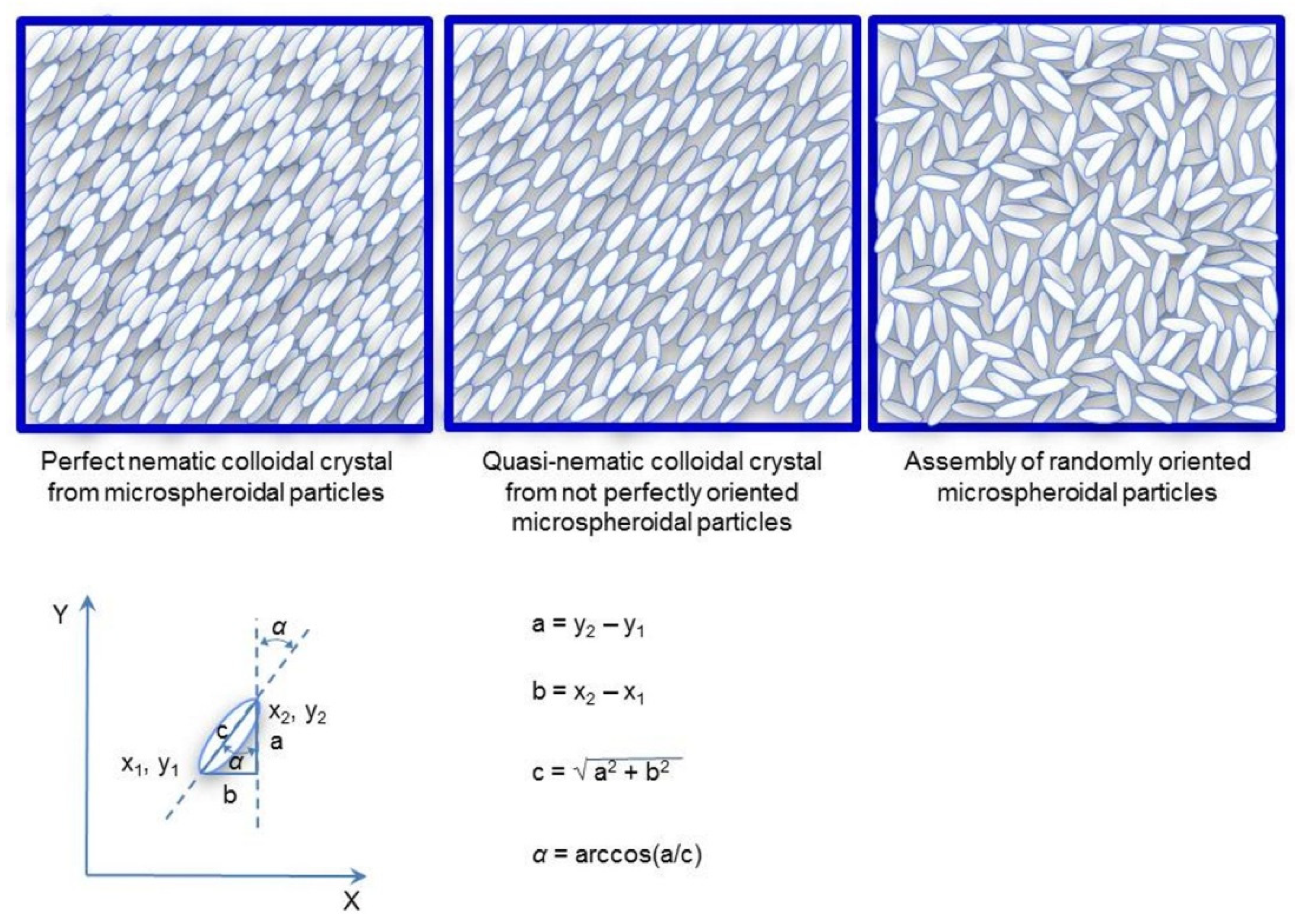 Polymers 14 04859 g004