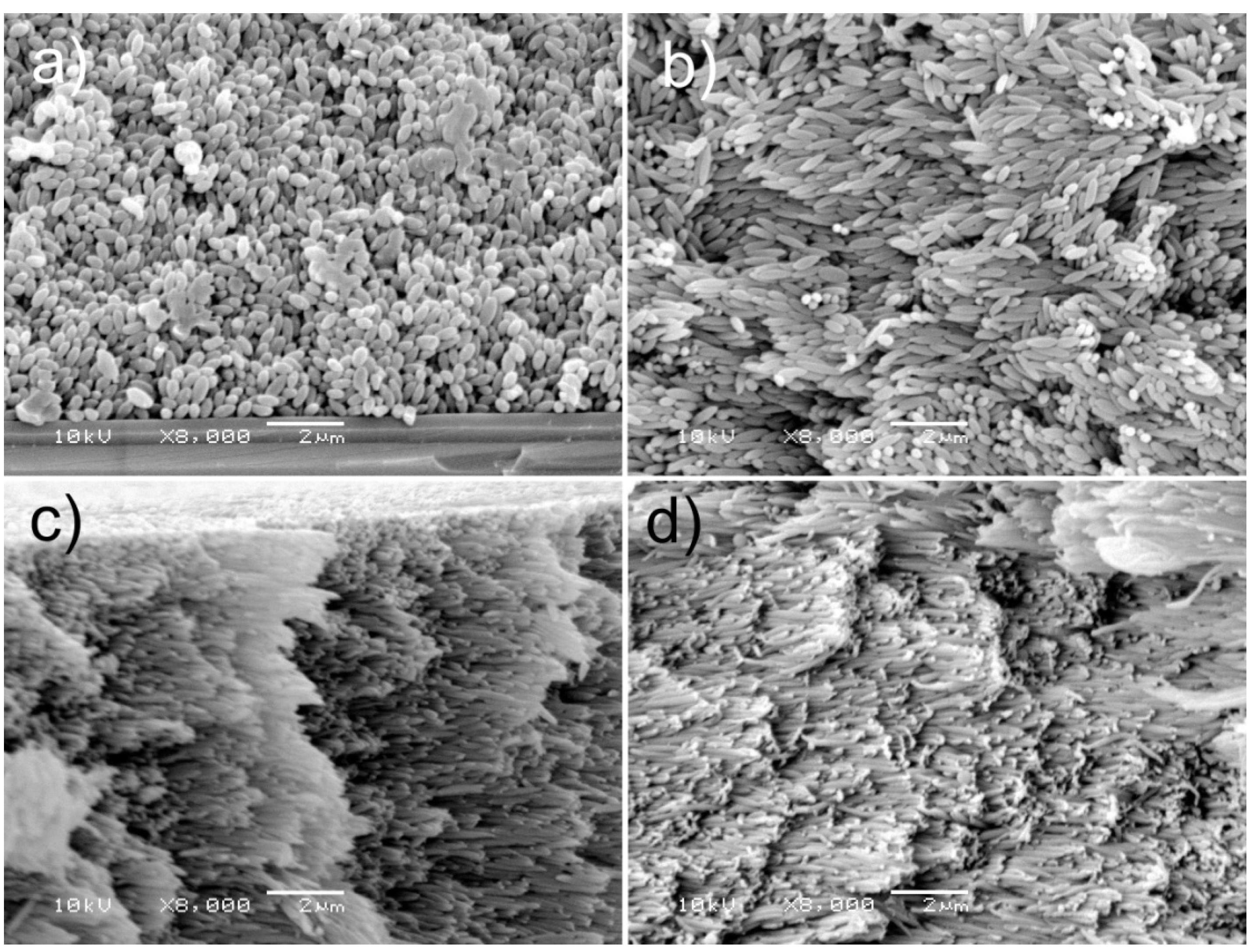 Polymers 14 04859 g006