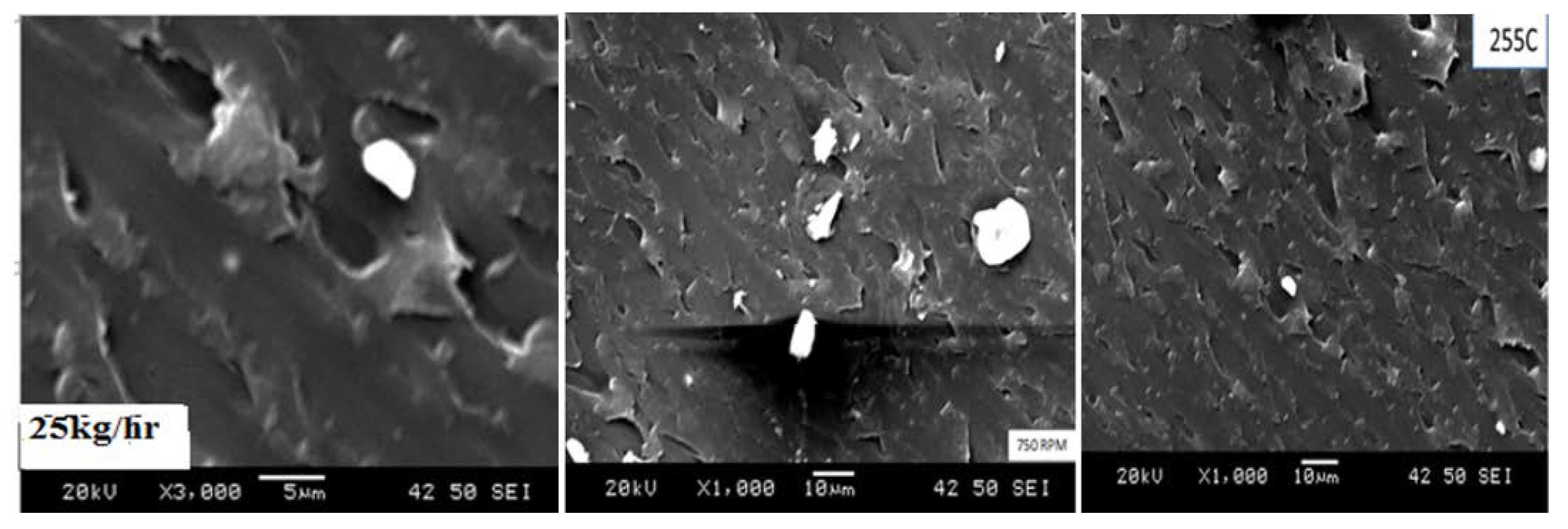Polymers 14 04860 g010