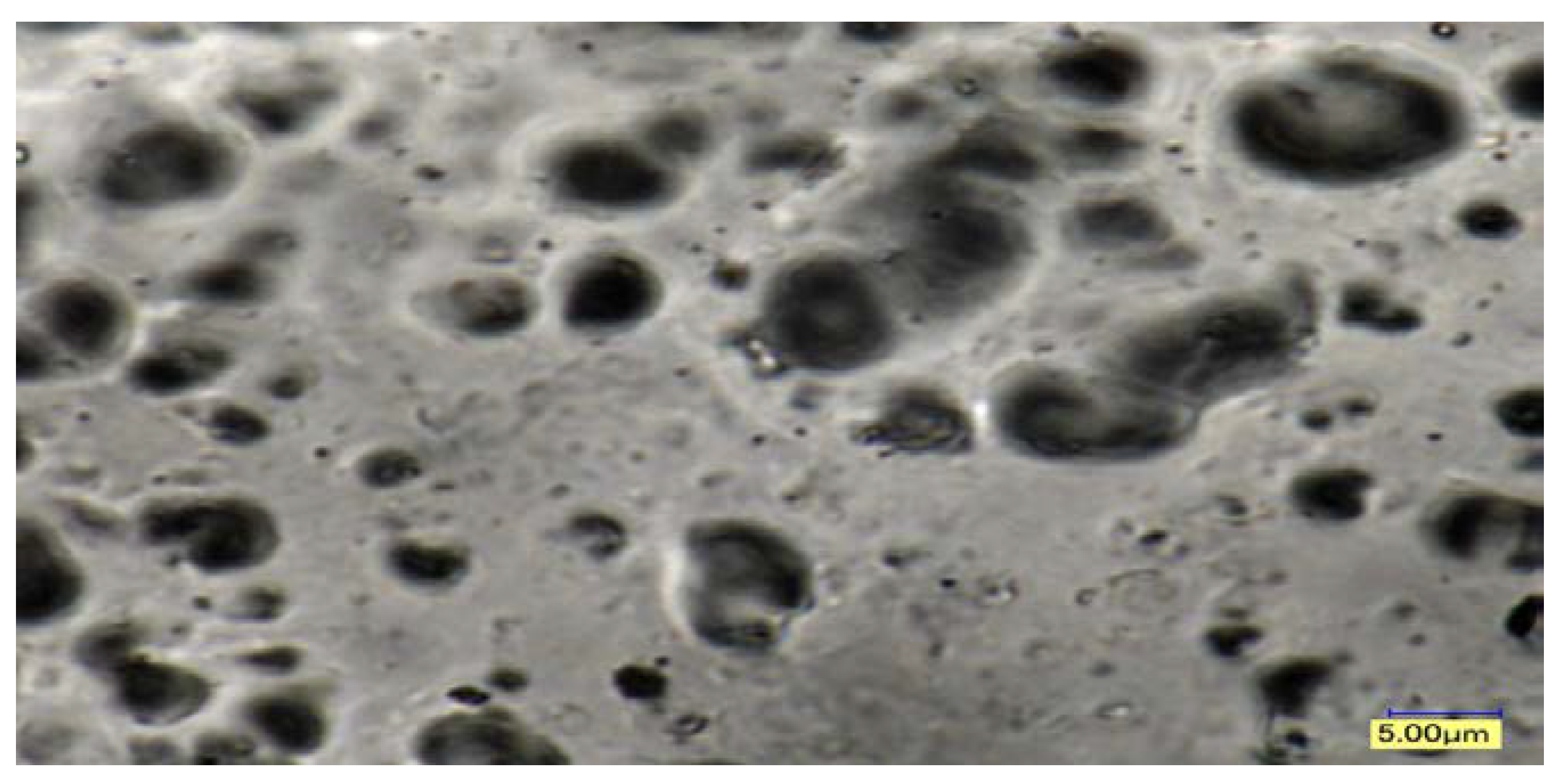 Polymers 14 04860 g011