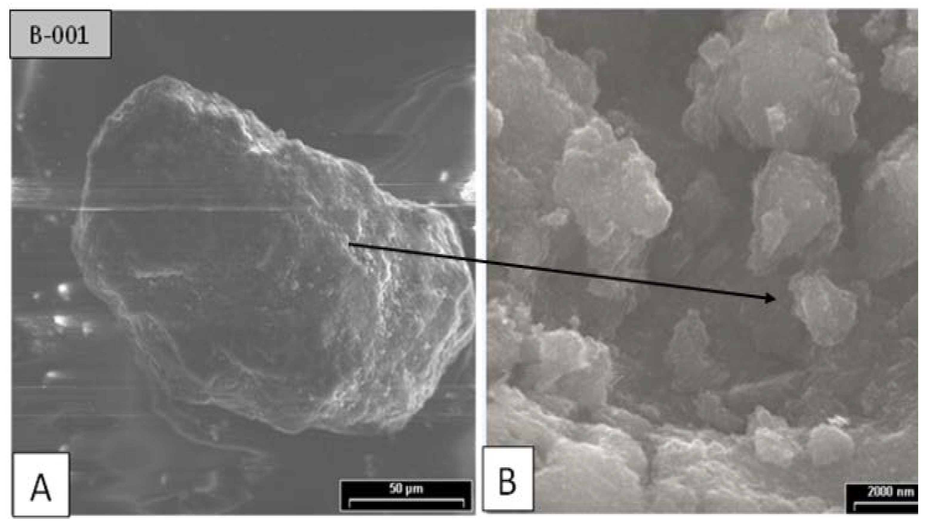 Polymers 14 04860 g012