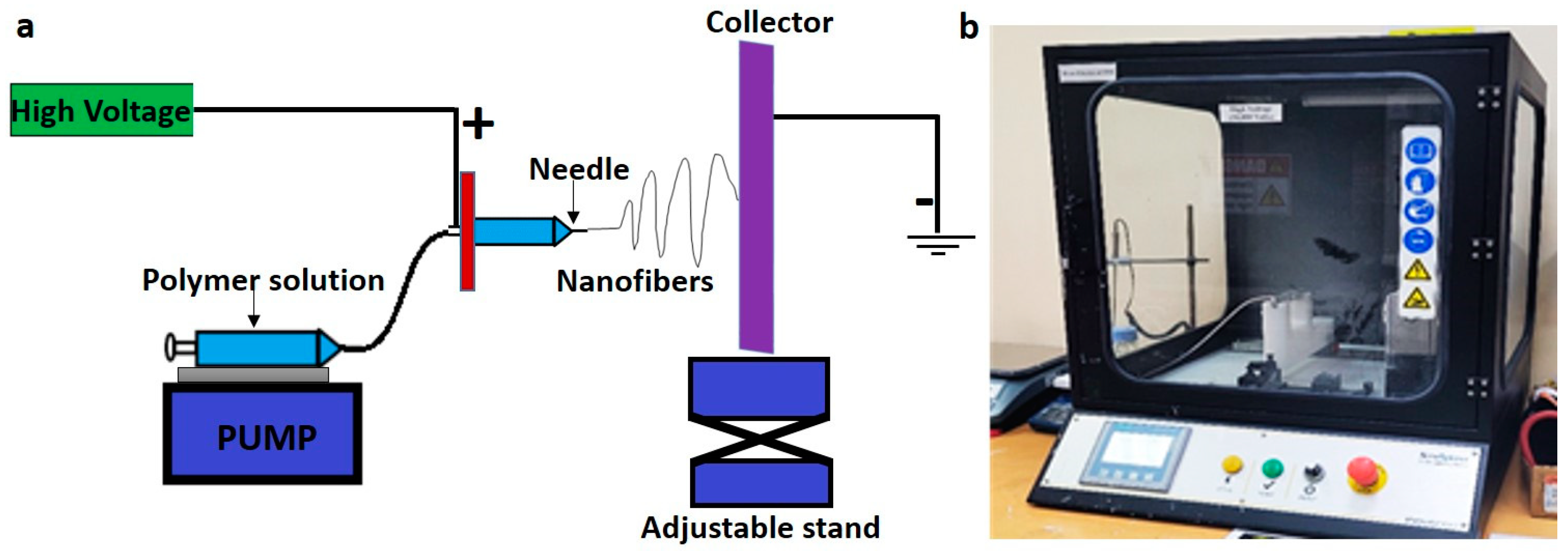 Polymers 14 04862 g001