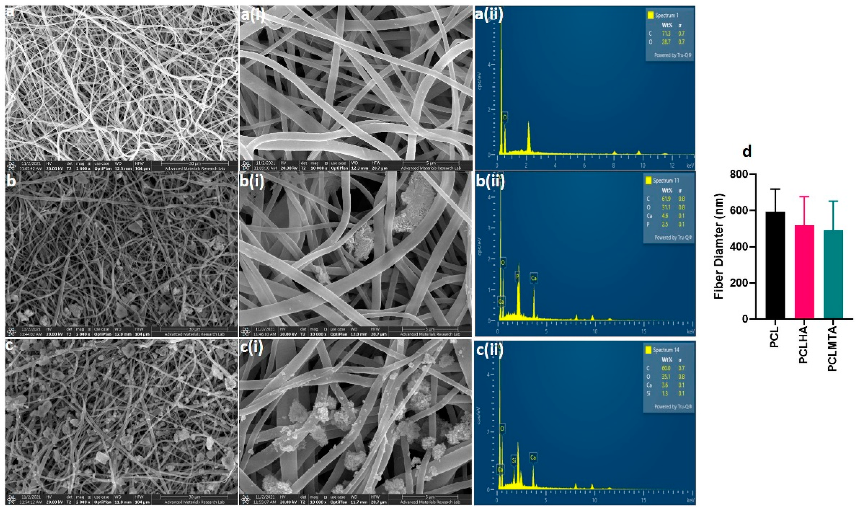 Polymers 14 04862 g002