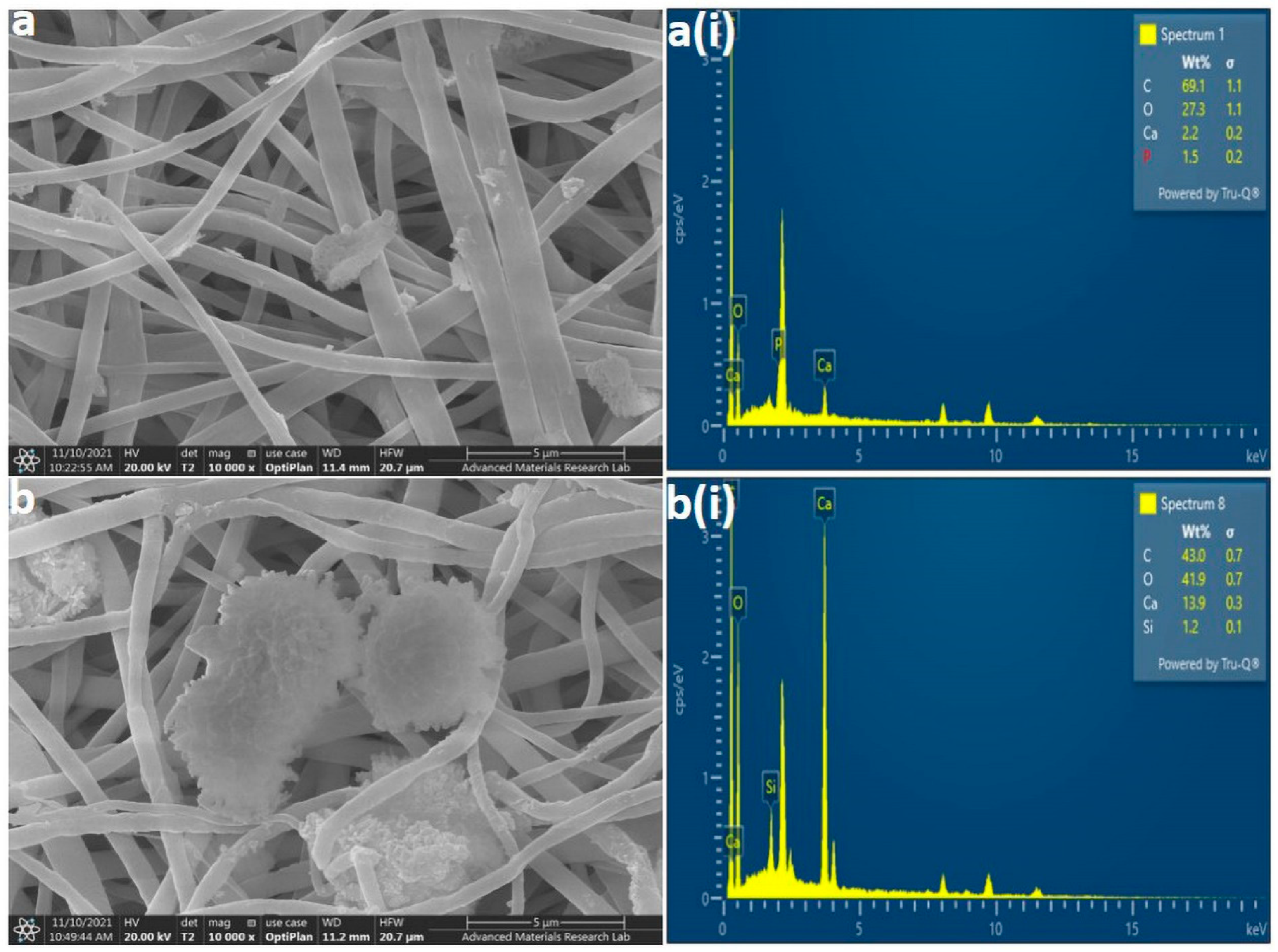 Polymers 14 04862 g006