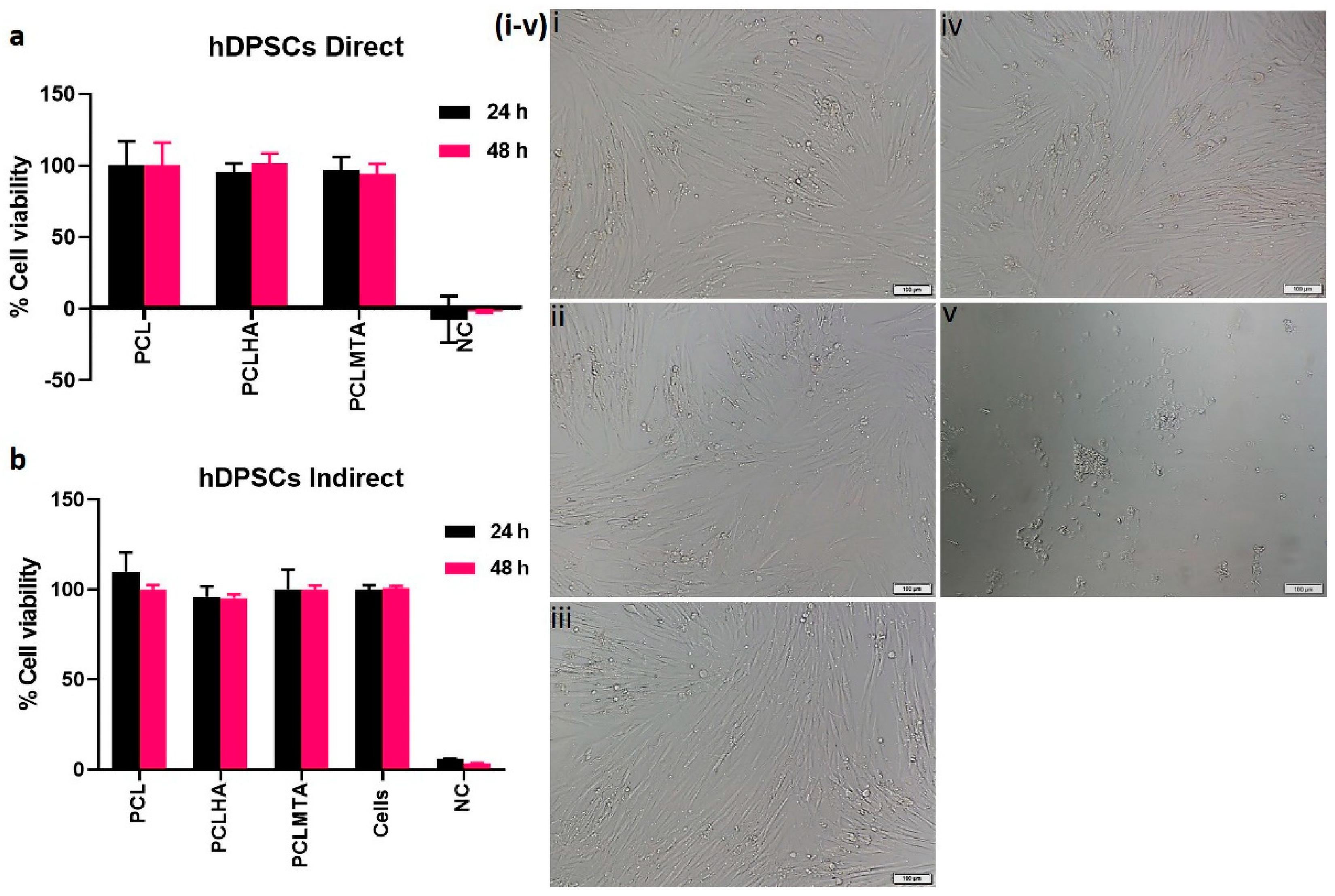 Polymers 14 04862 g007
