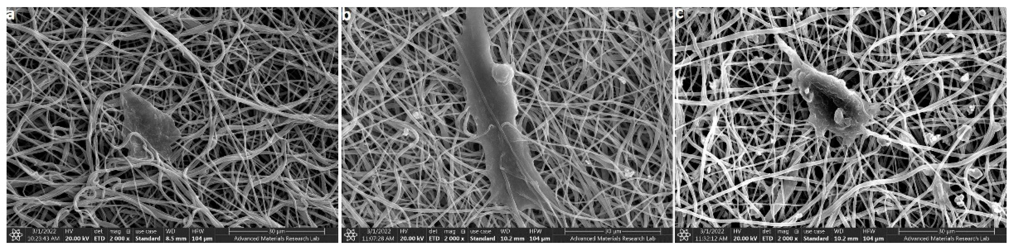 Polymers 14 04862 g008