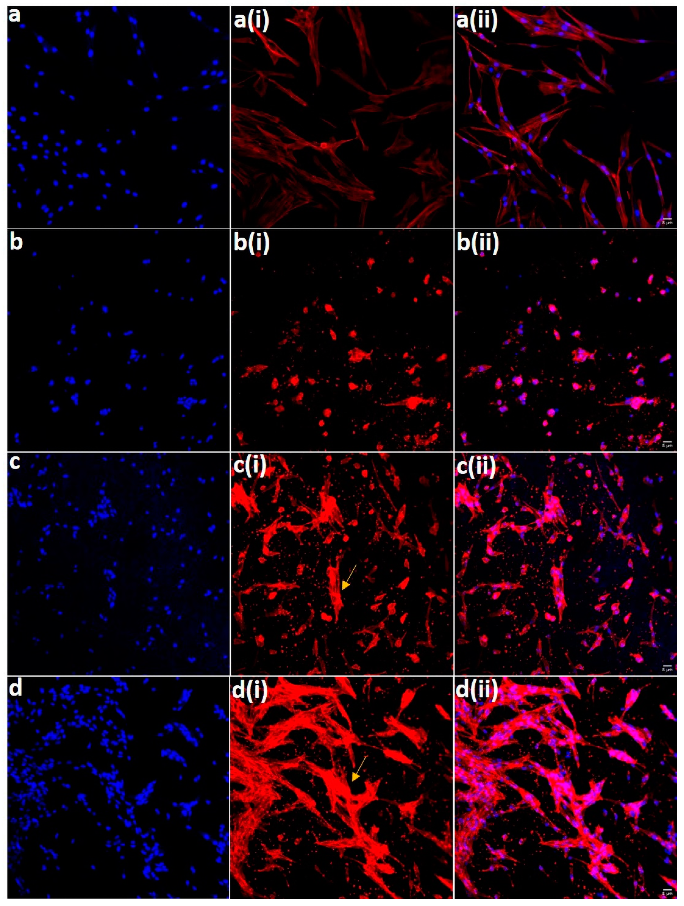Polymers 14 04862 g009