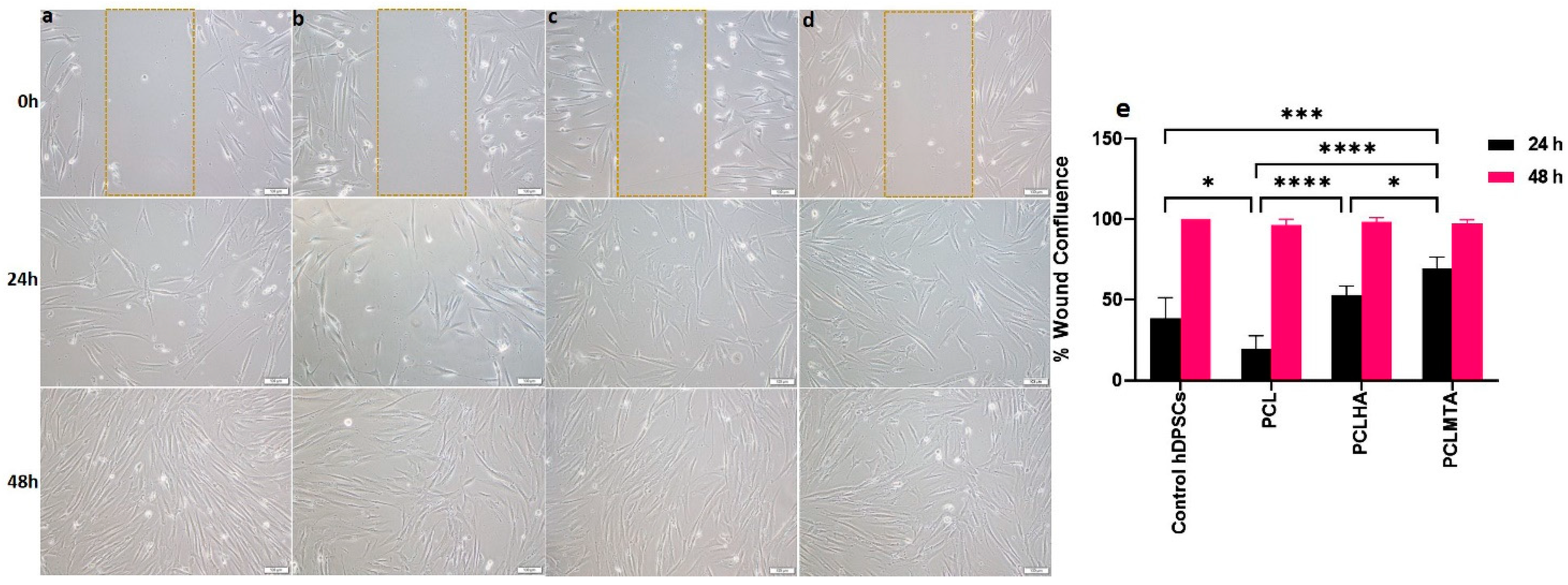 Polymers 14 04862 g010