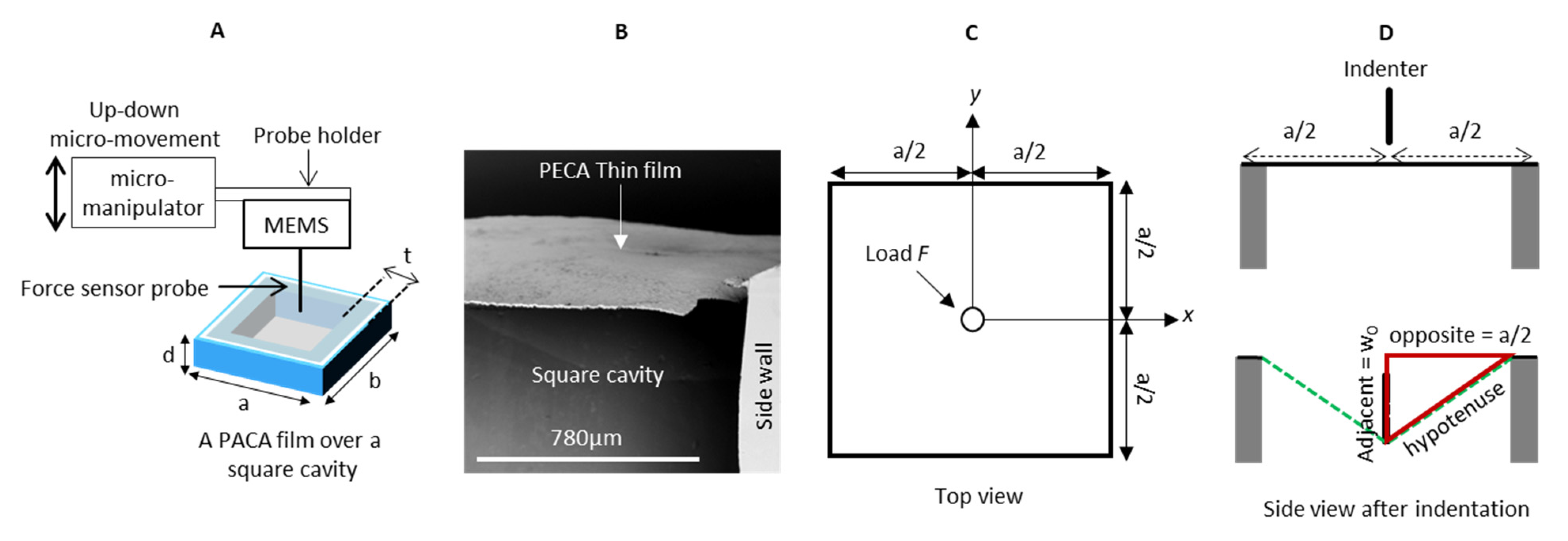Polymers 14 04863 g001