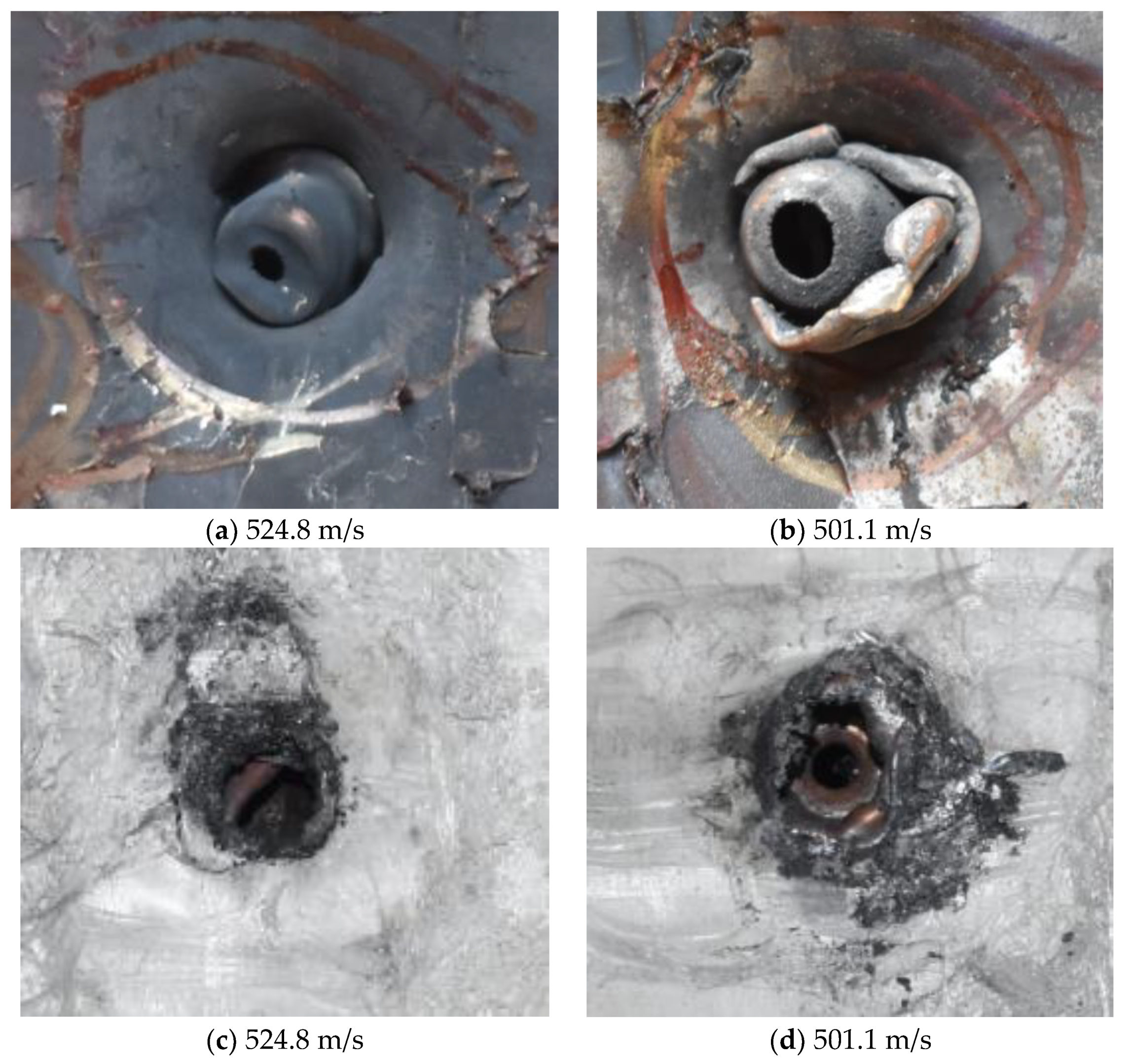 Polymers 14 04866 g007