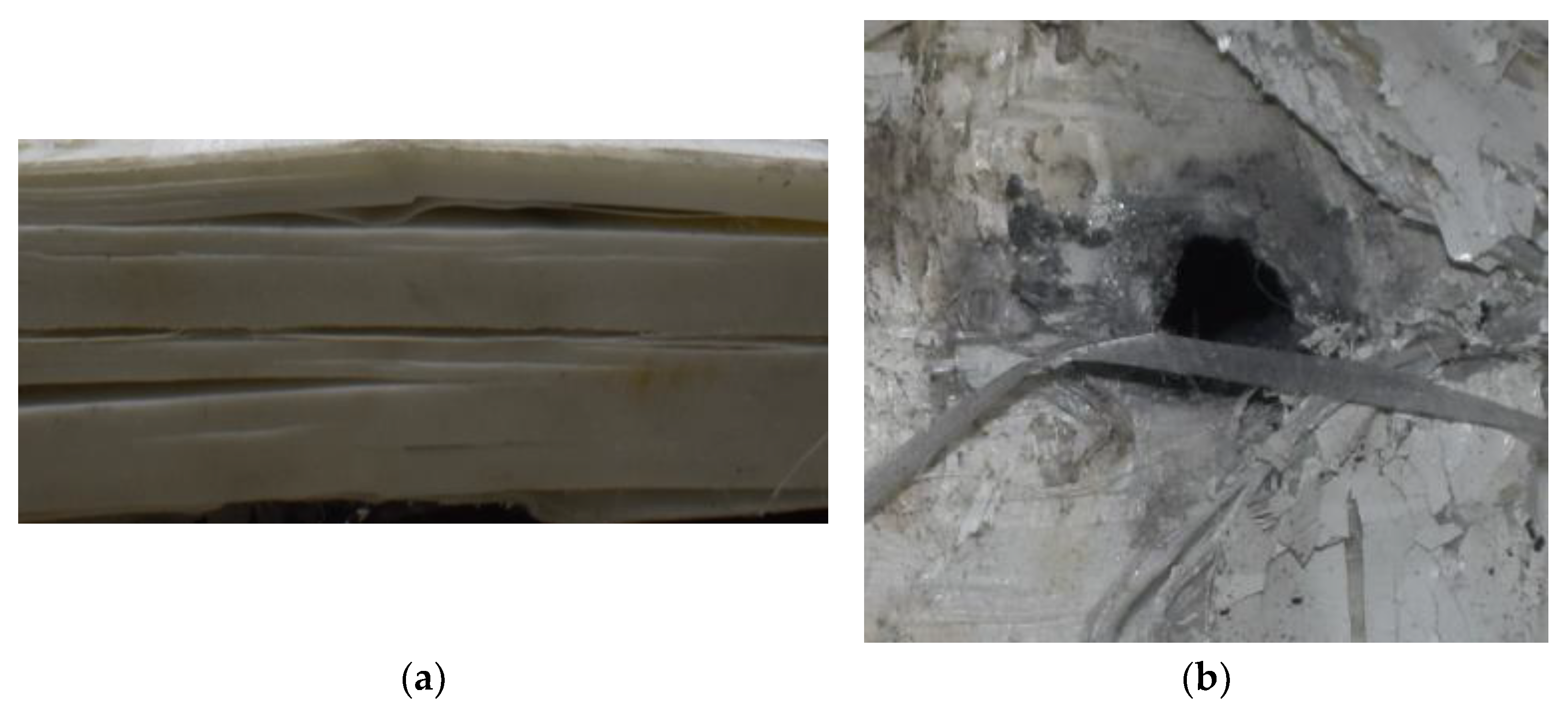 Polymers 14 04866 g008