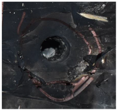 Polymers 14 04866 i001