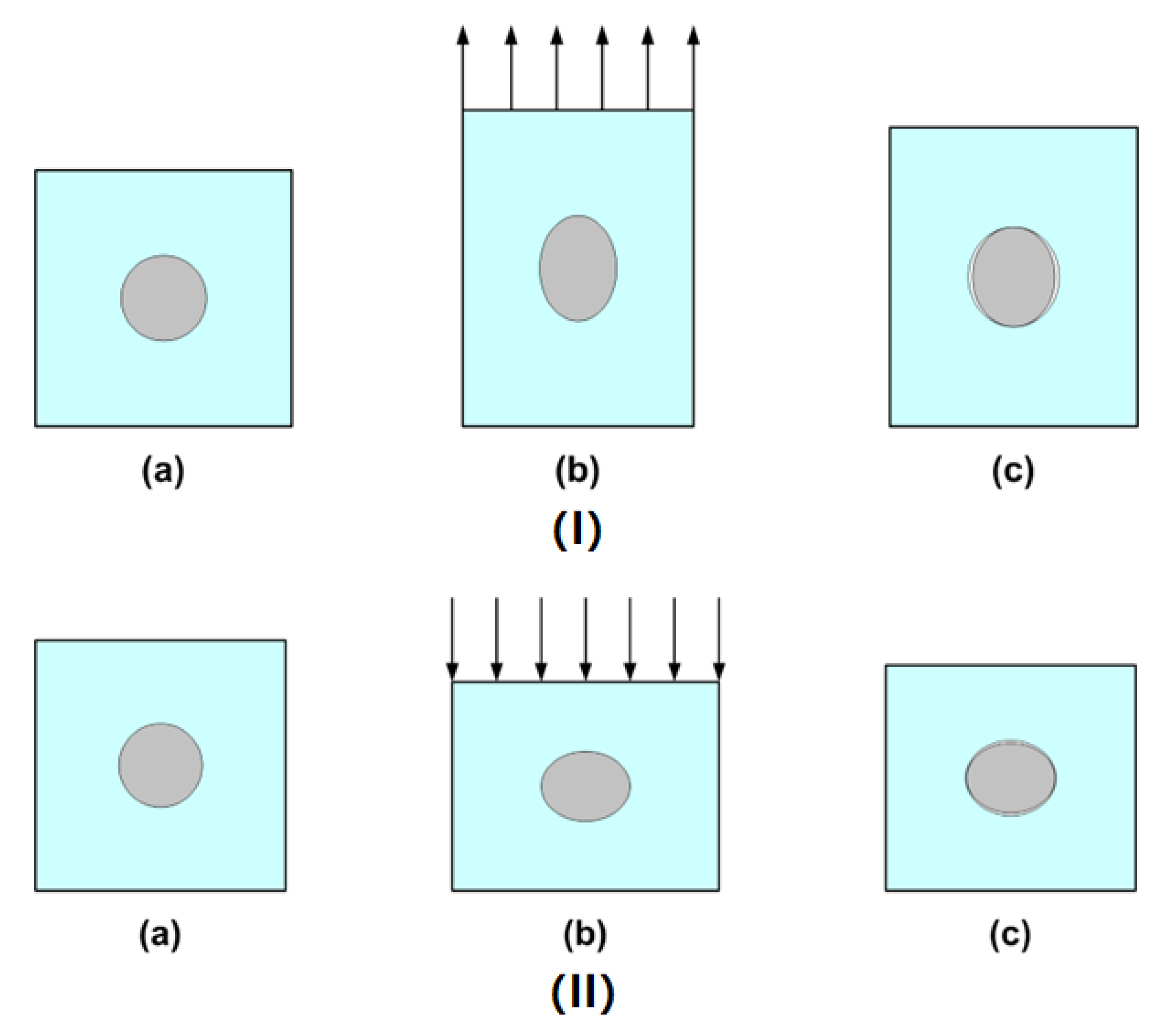 Polymers 14 04872 g007