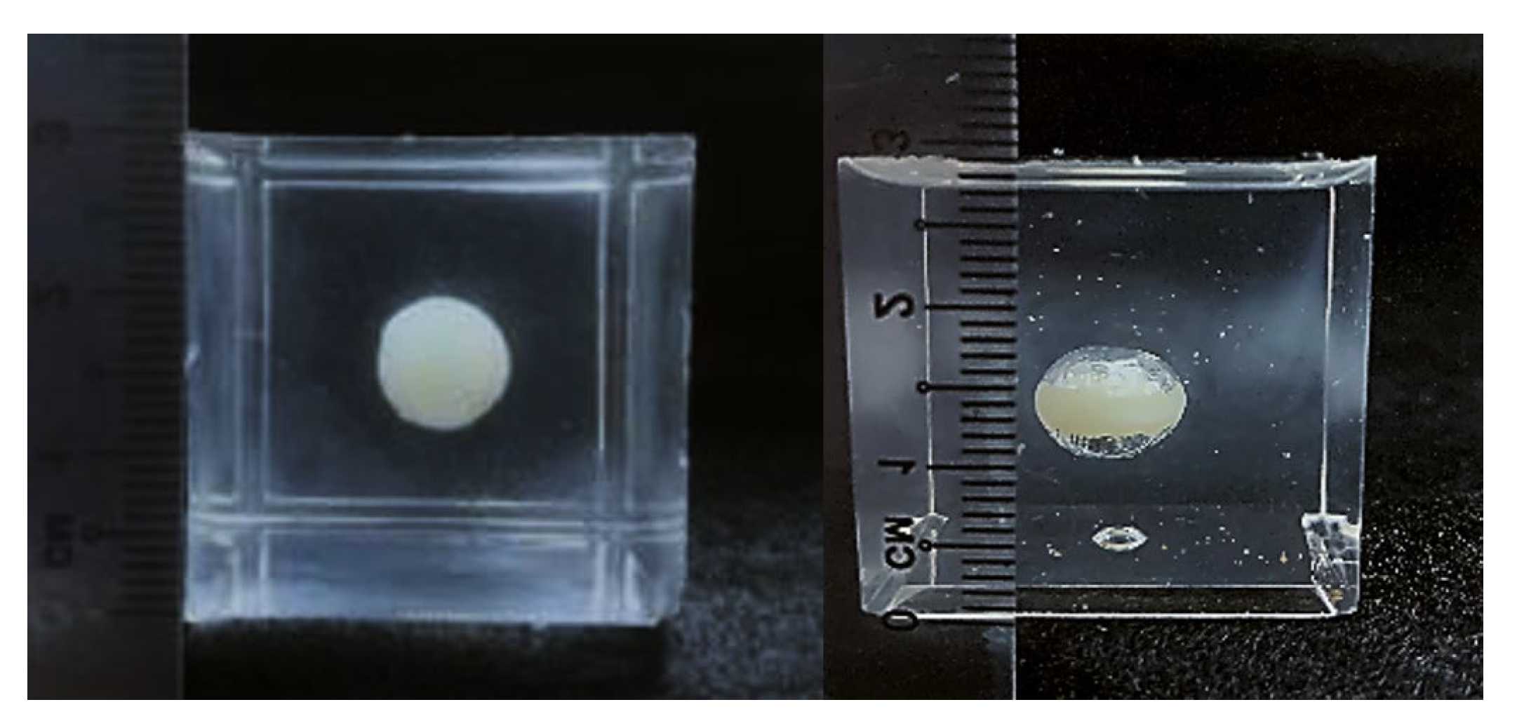 Polymers 14 04872 g008