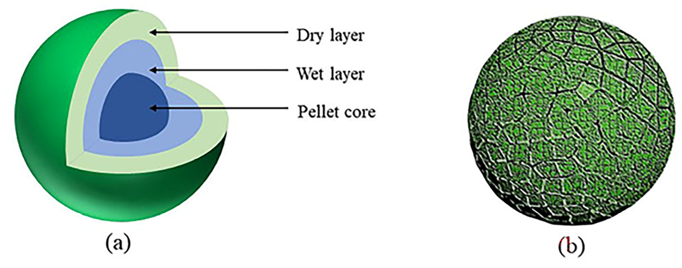 Polymers 14 04874 g007