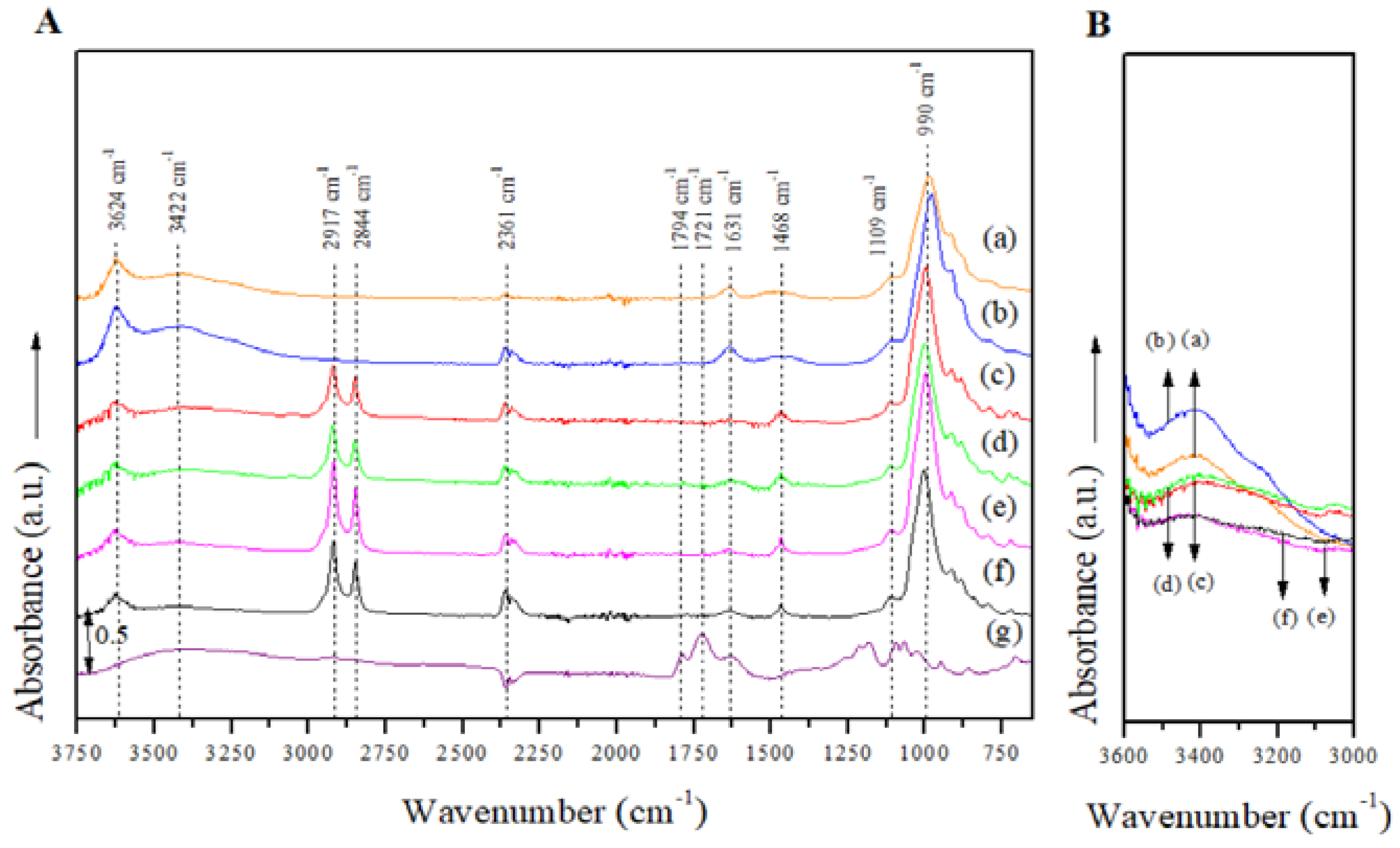 Polymers 14 04881 g004