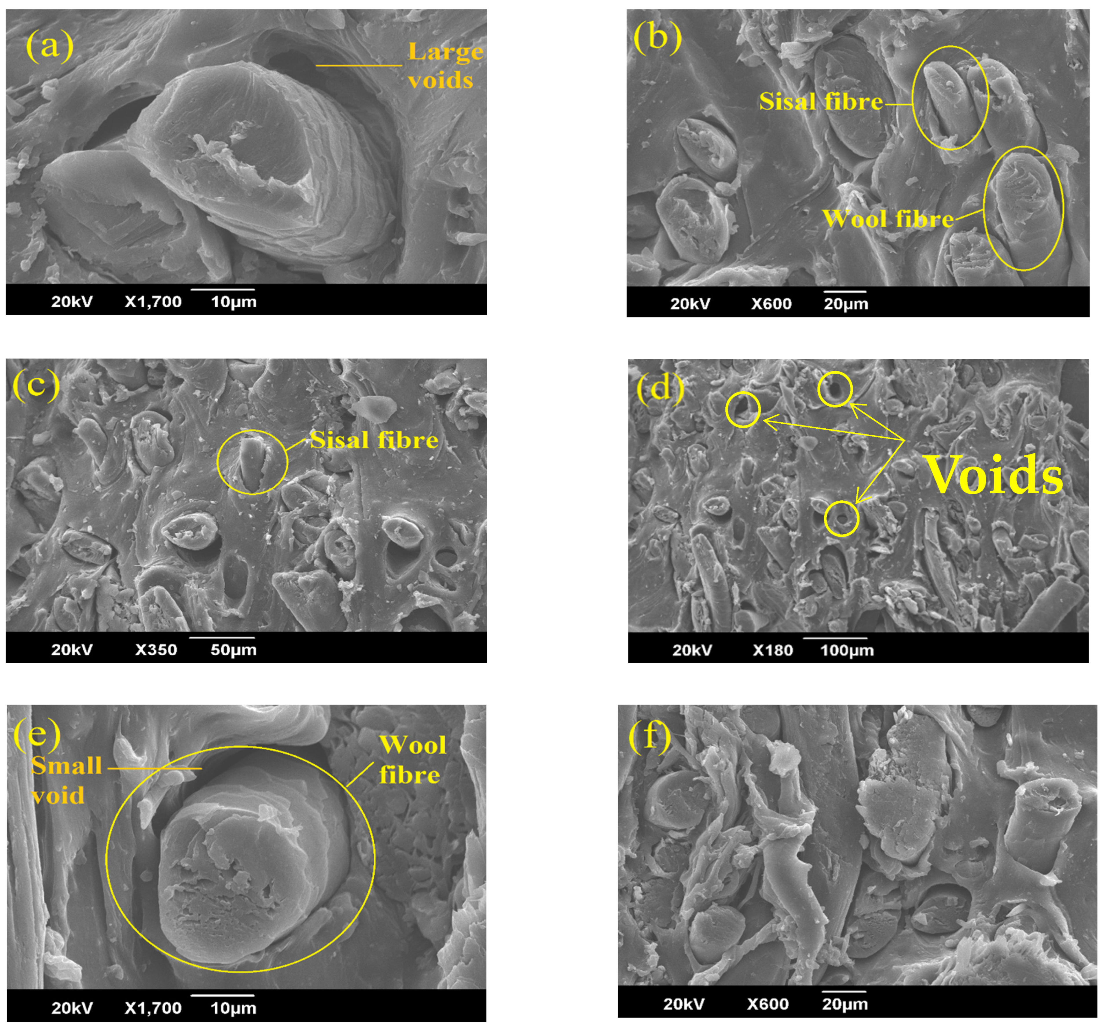 Polymers 14 04882 g004a