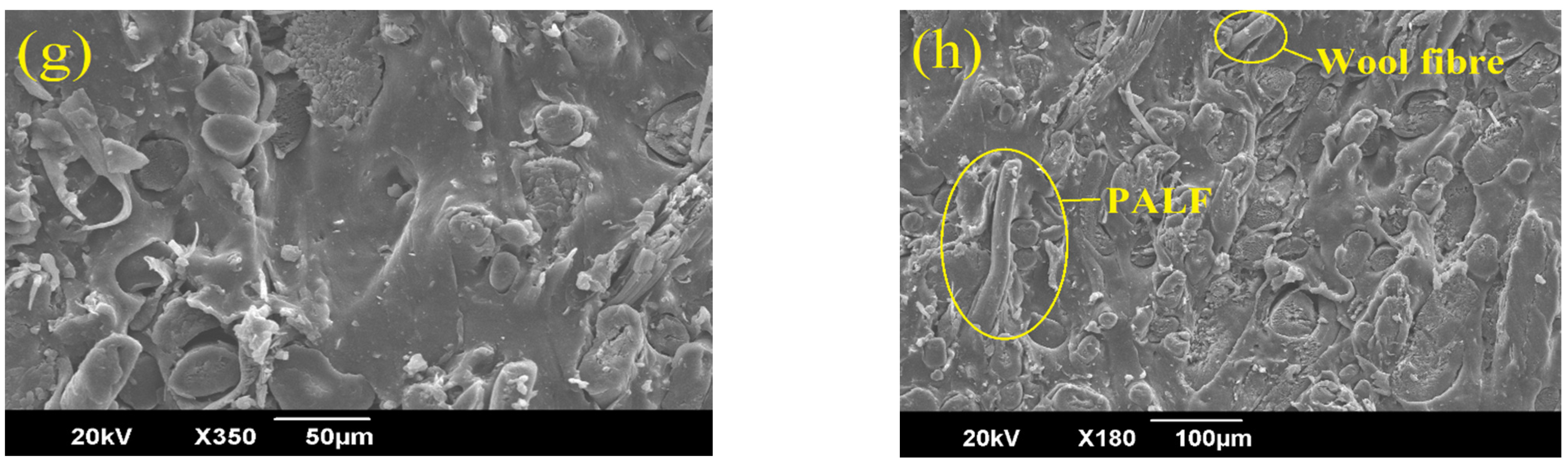 Polymers 14 04882 g004b