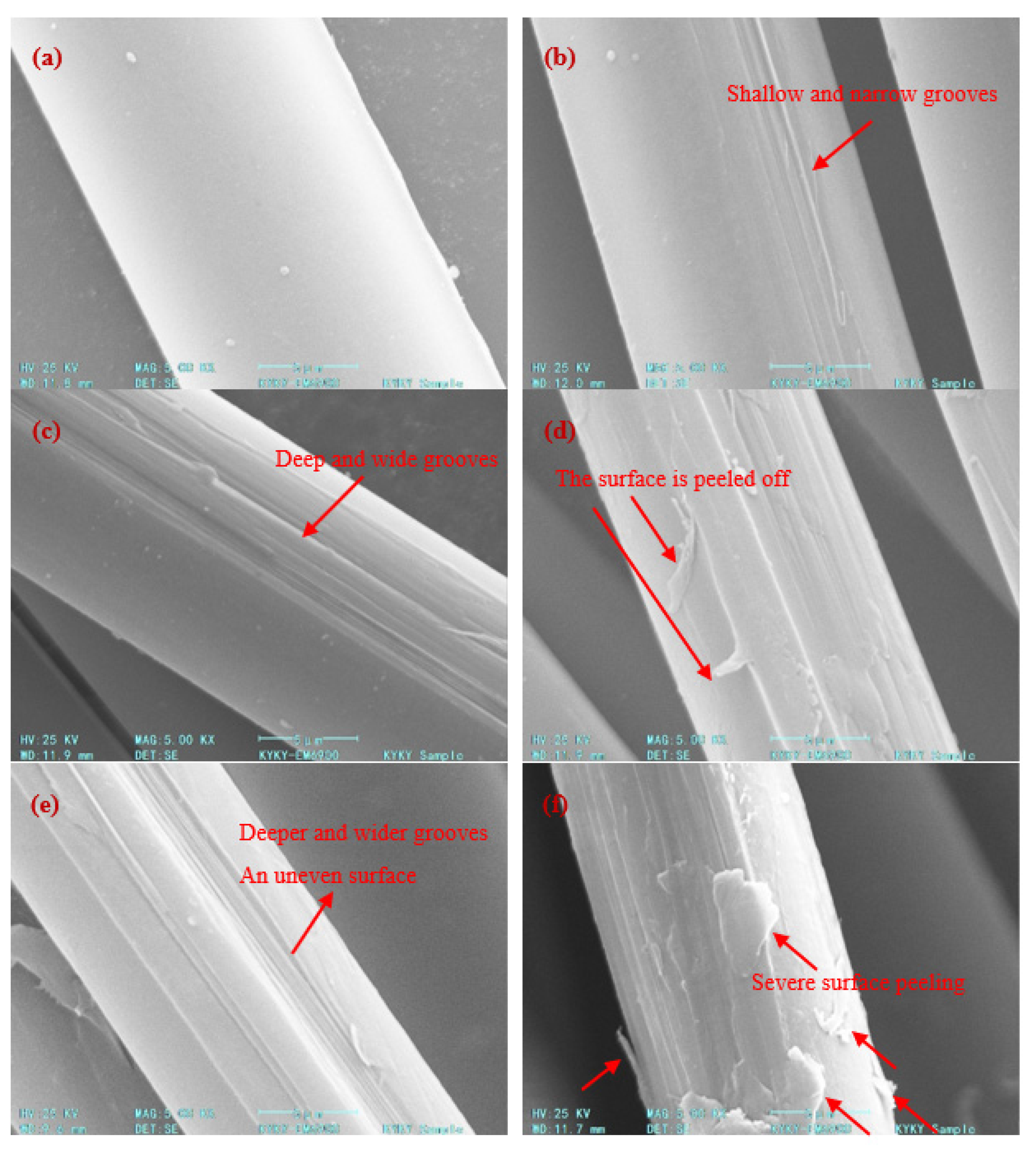 Polymers 14 04892 g002