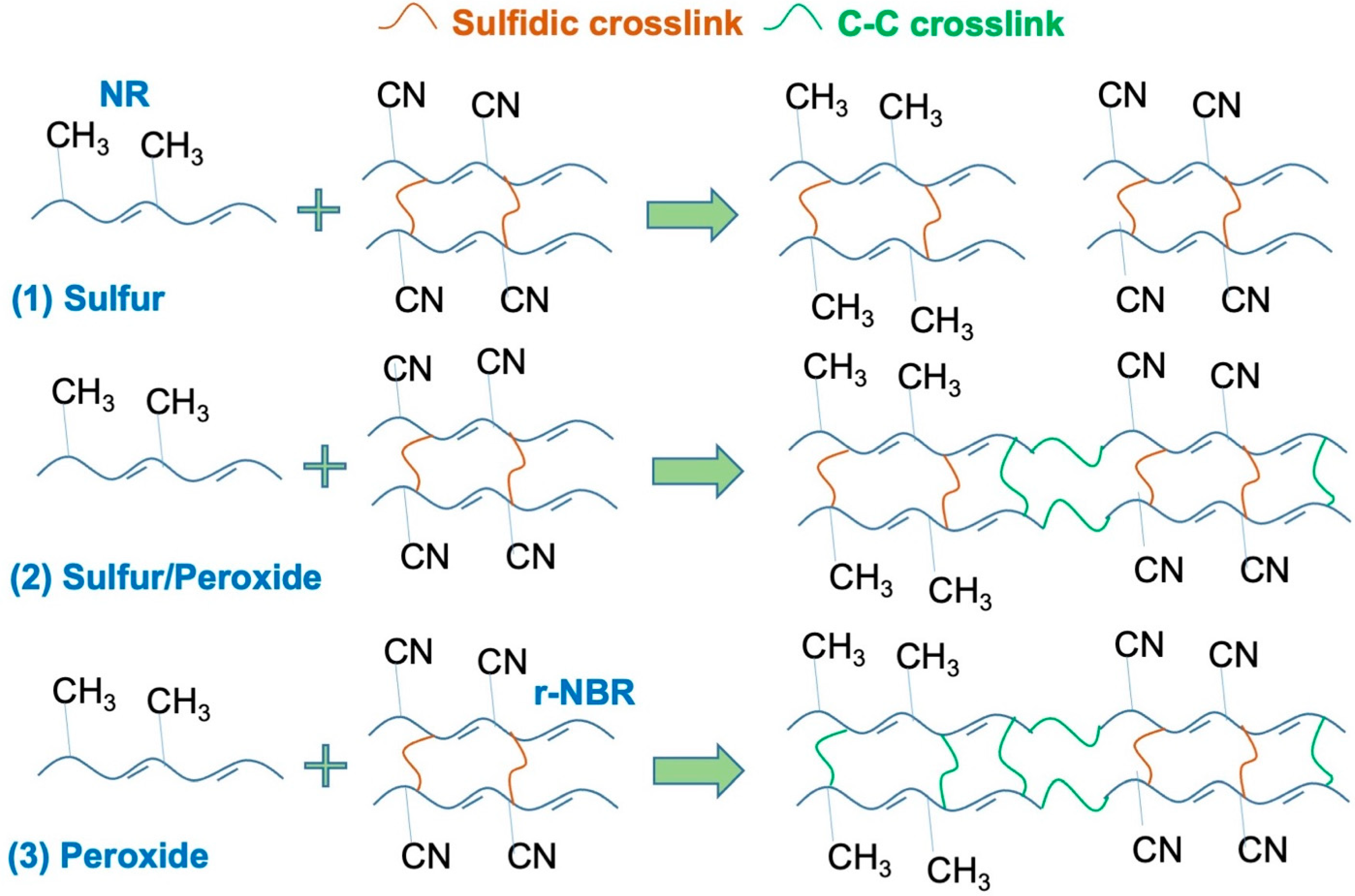 Polymers 14 04896 g004