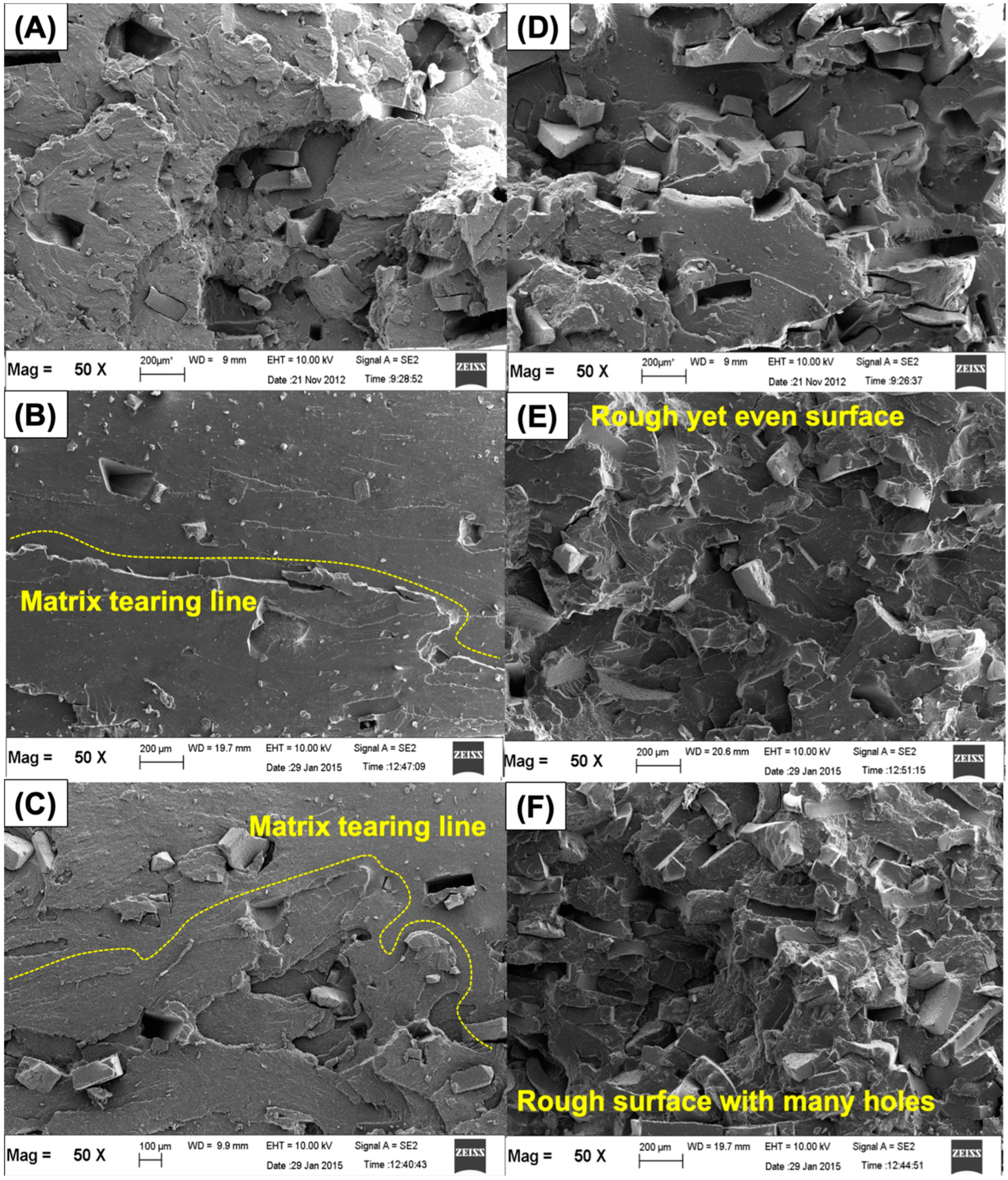 Polymers 14 04896 g009