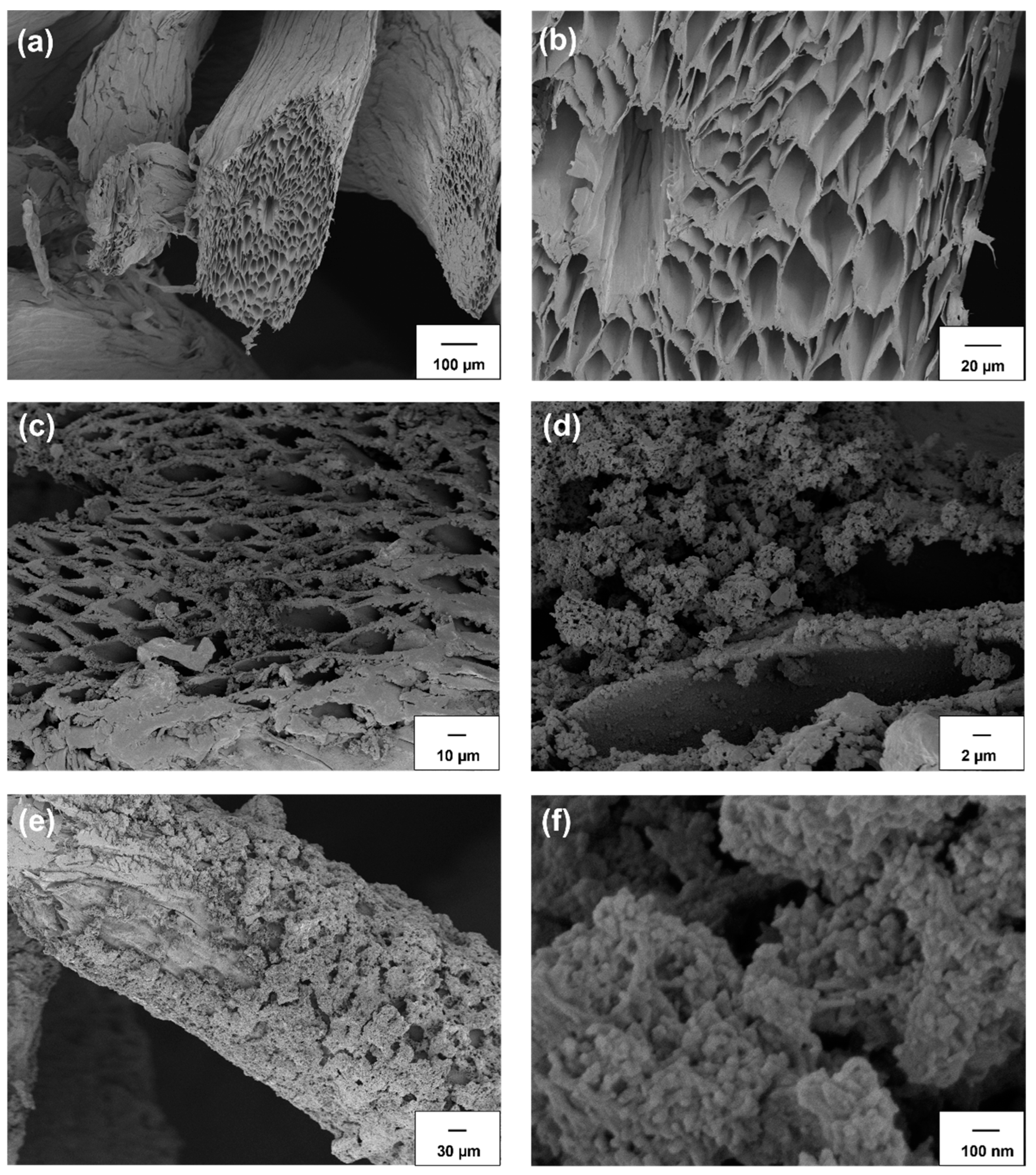 Polymers 14 04897 g003