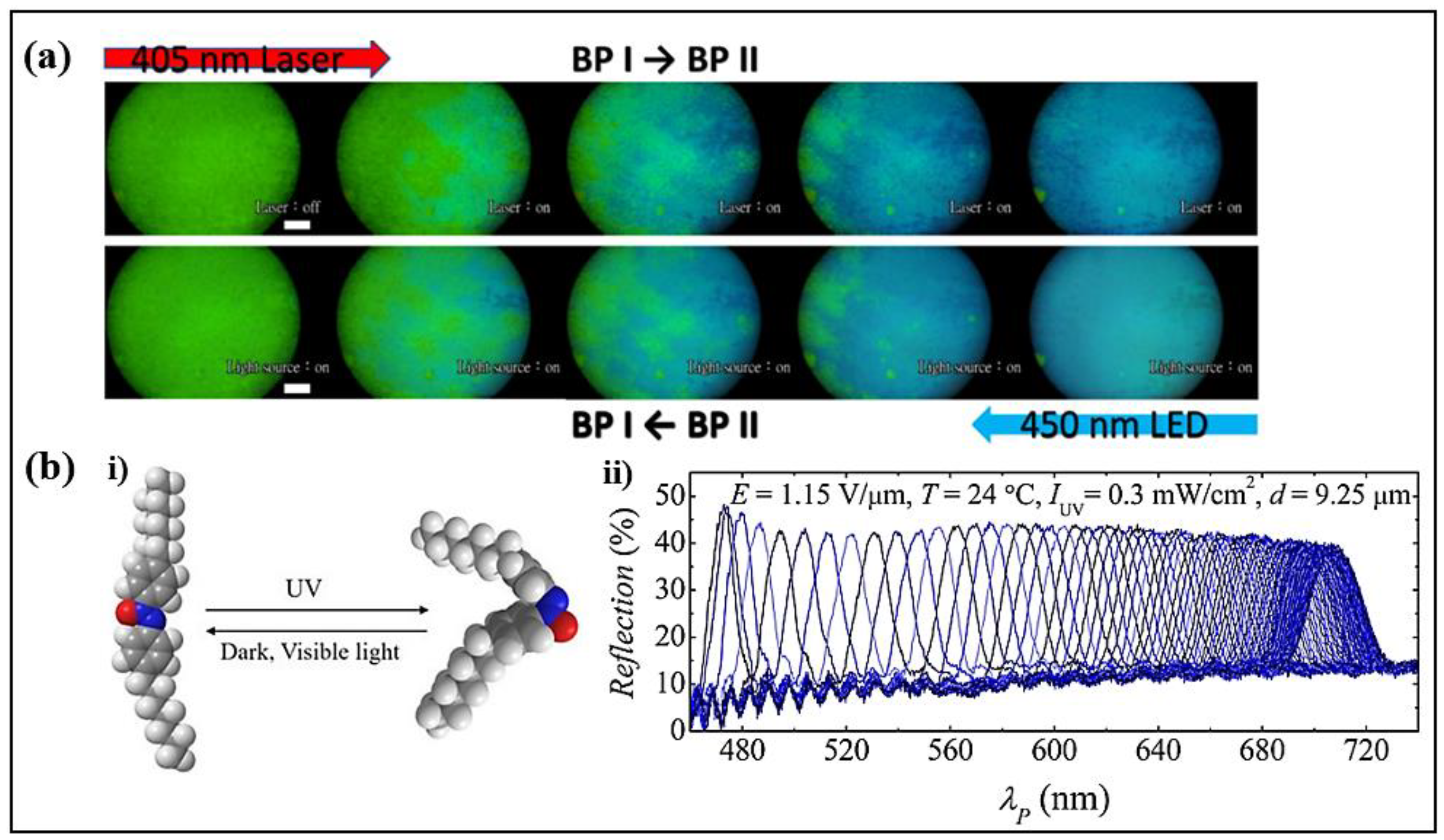 Polymers 14 04898 g006 Polymers 14 04898 g006