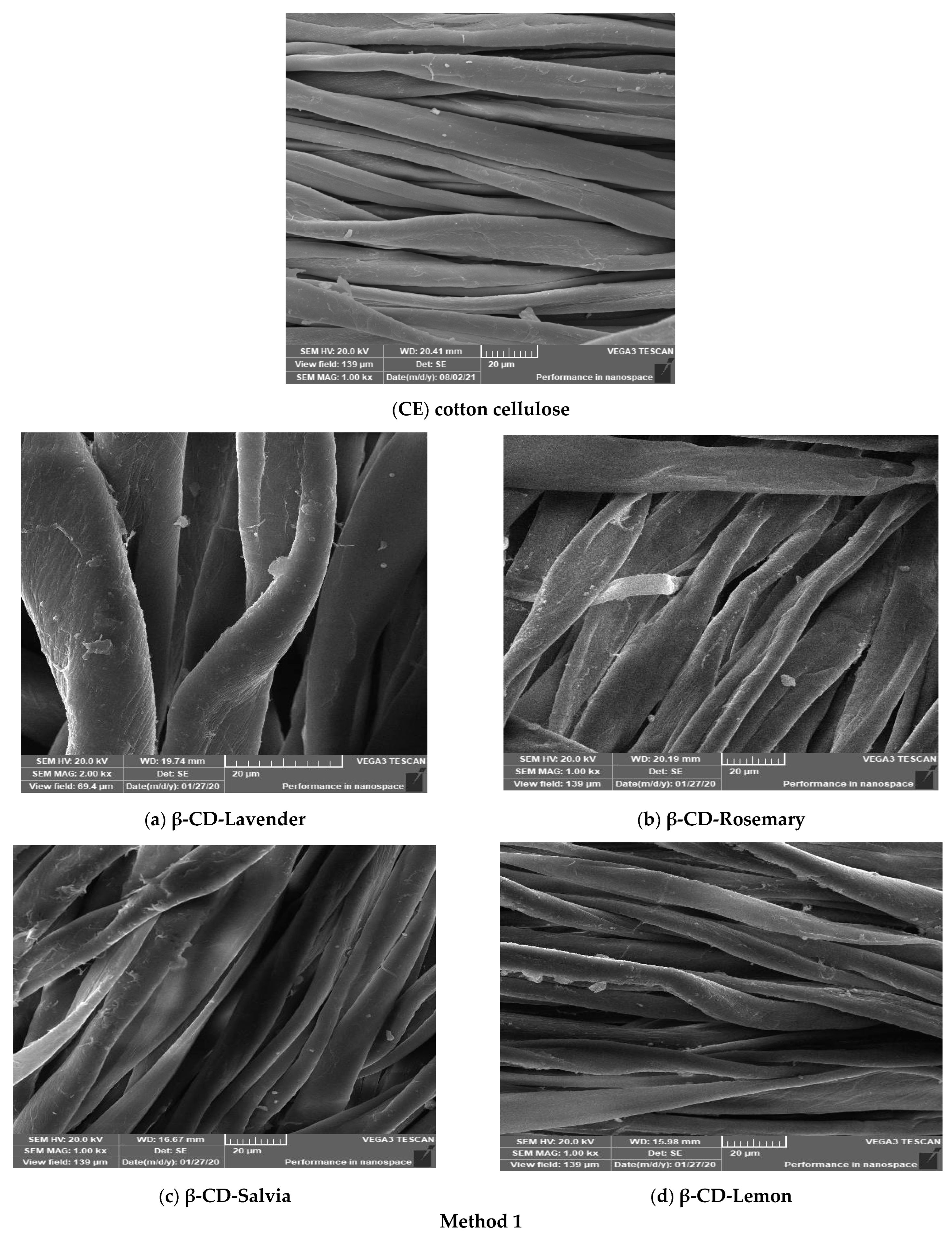 Polymers 14 04899 g002a Polymers 14 04899 g002a