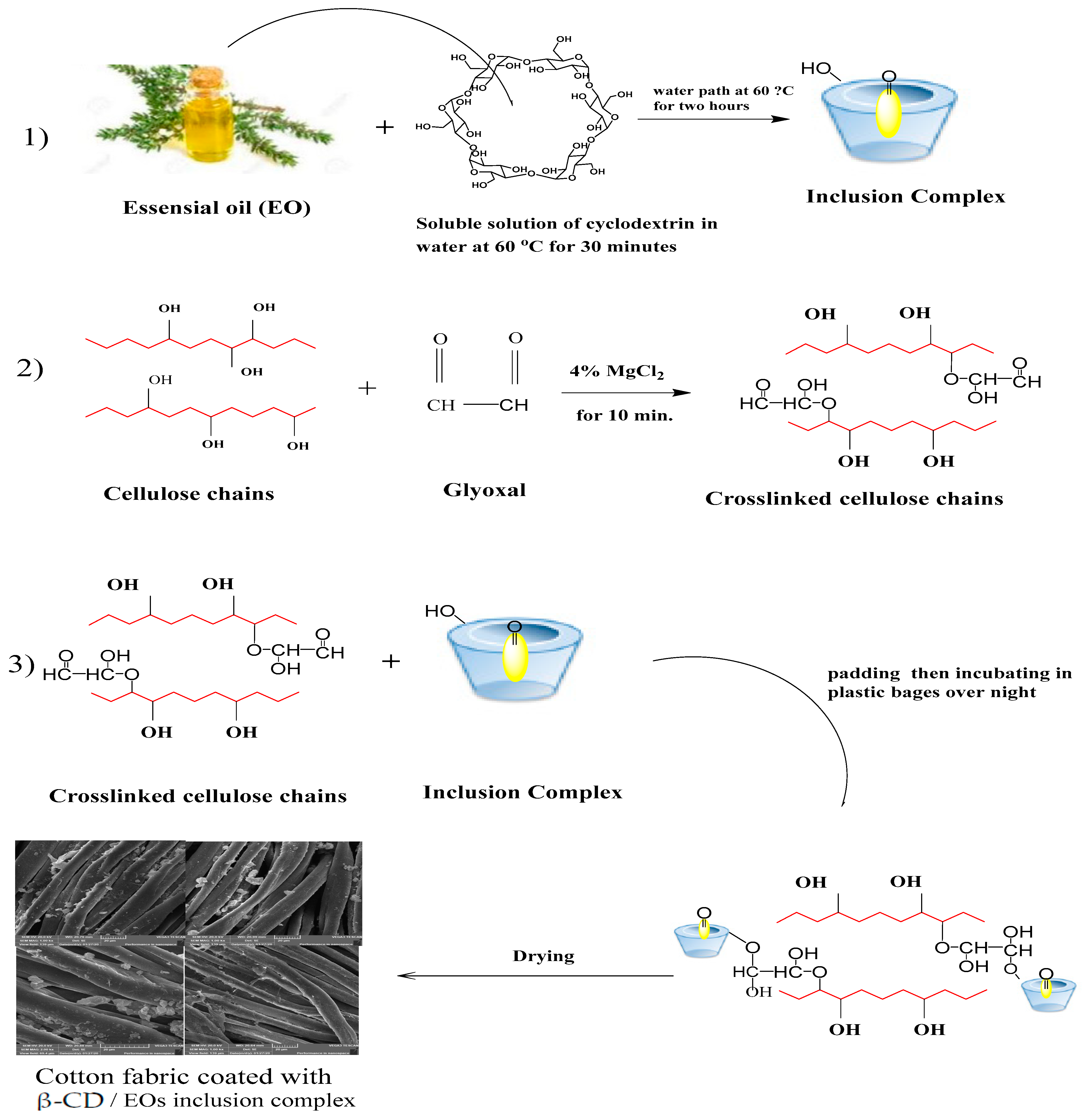 Polymers 14 04899 sch003 Polymers 14 04899 sch003