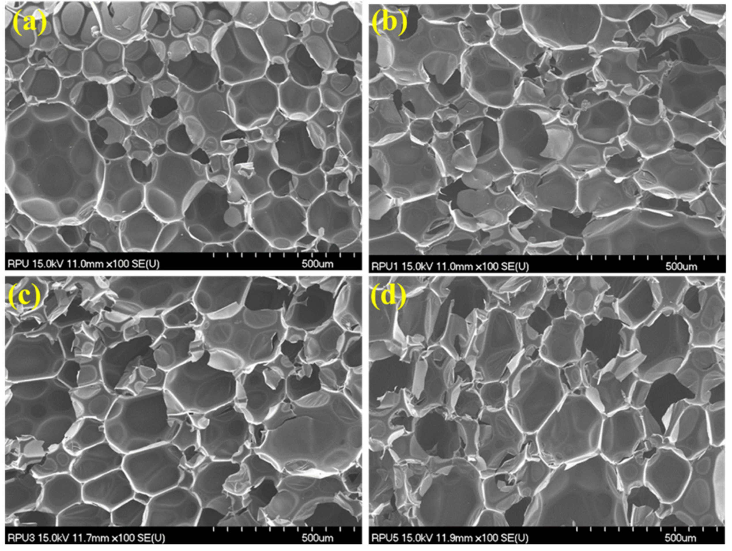 Polymers 14 04904 g001